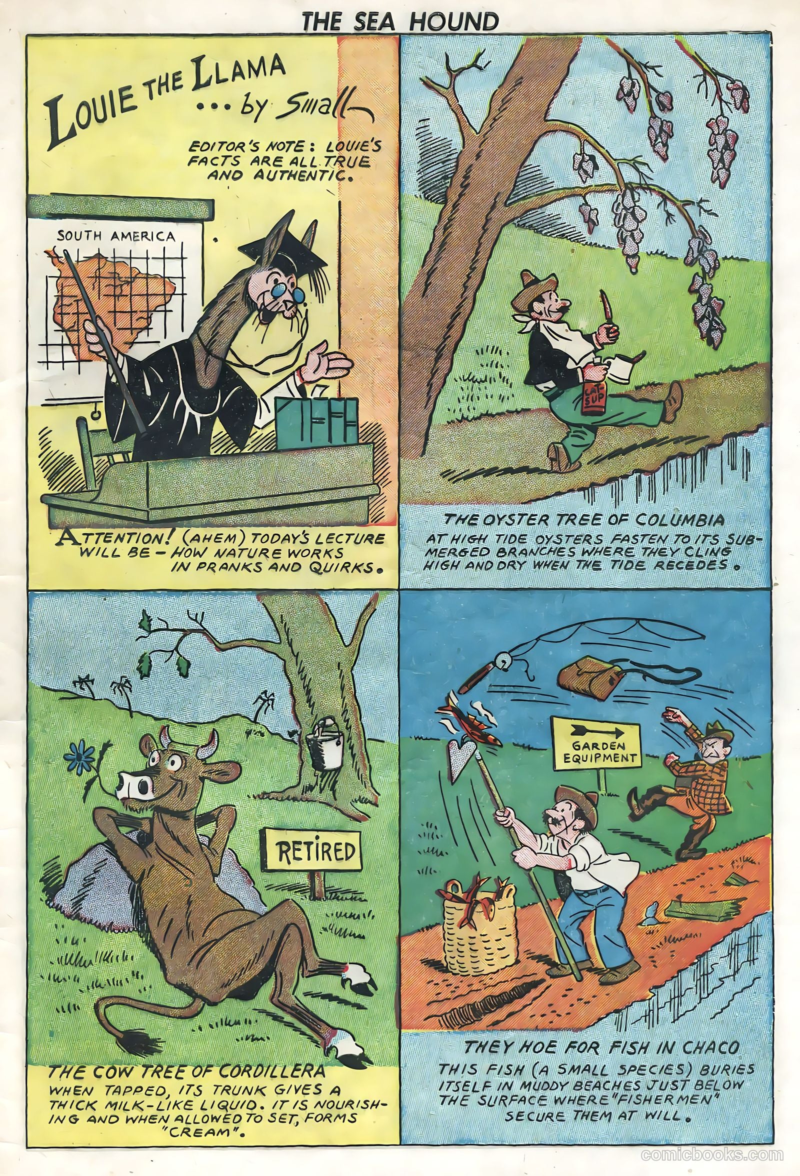 Captain Silver's Log of the Sea Hound #3 (1949) — page 32 of 35
