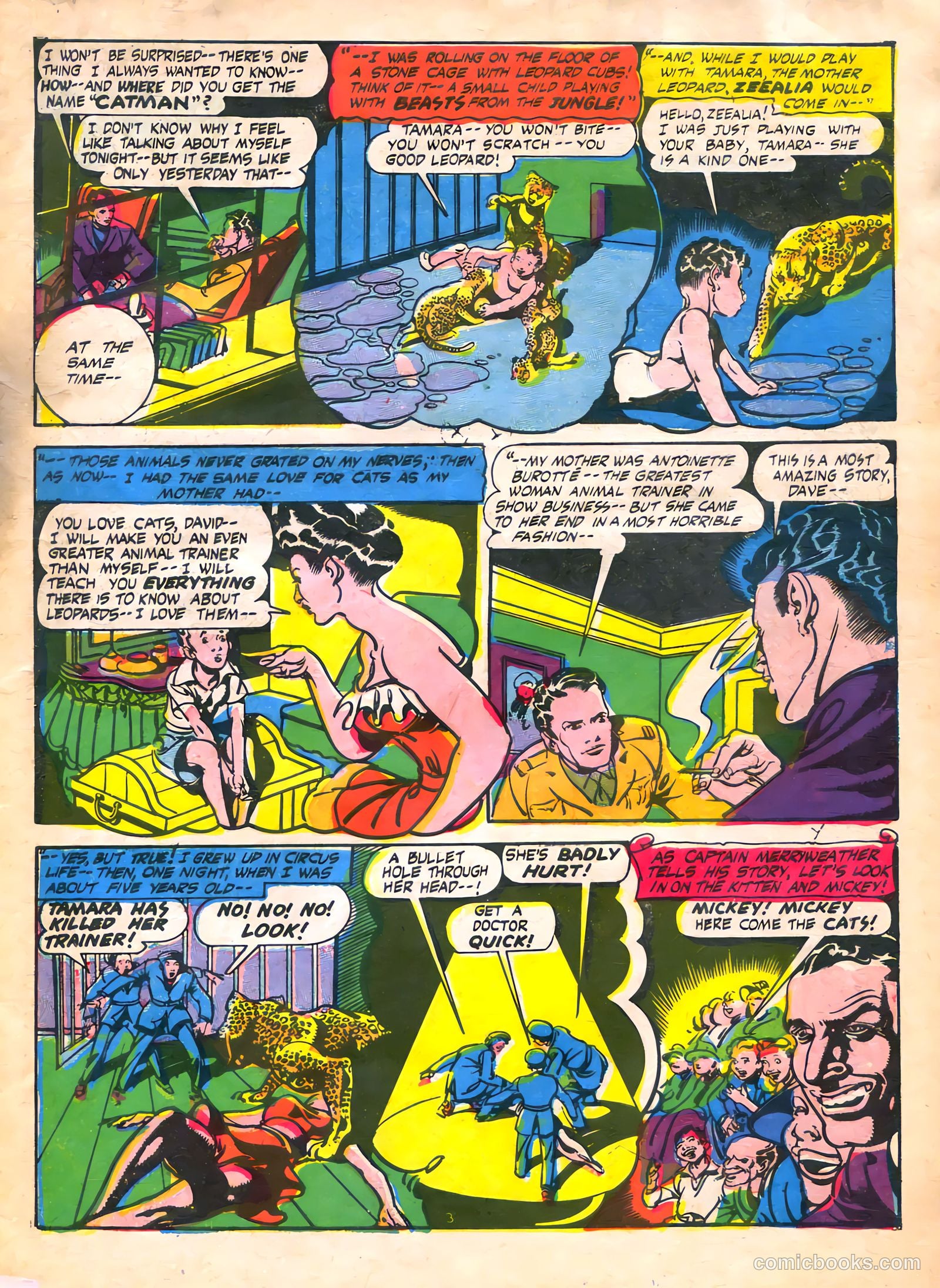 Cat-Man Comics #27 (1945) — page 5 of 52