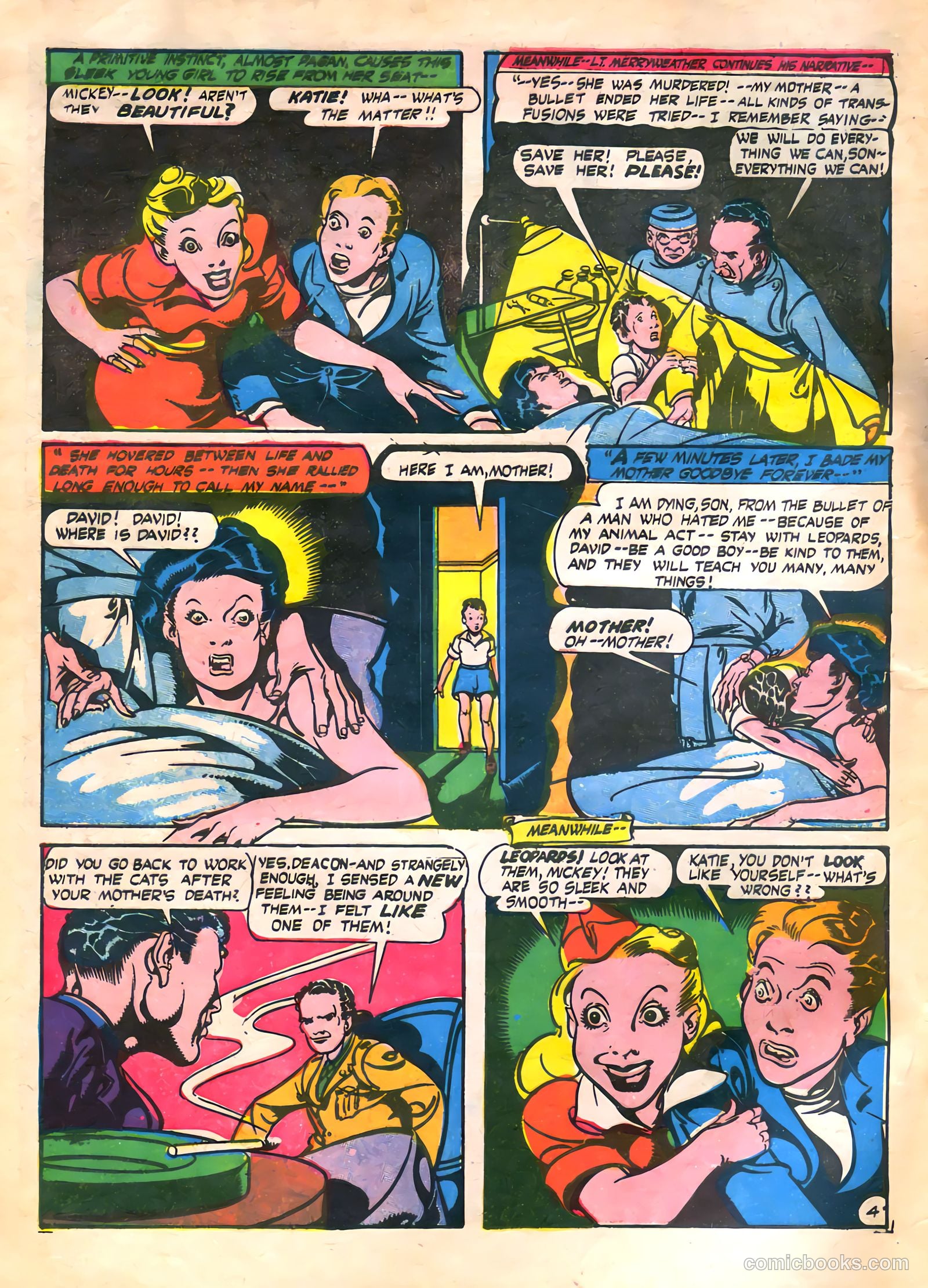 Cat-Man Comics #27 (1945) — page 6 of 52