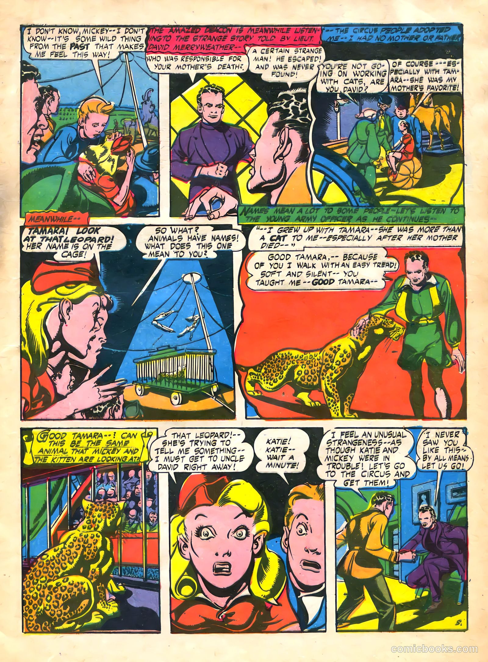 Cat-Man Comics #27 (1945) — page 7 of 52