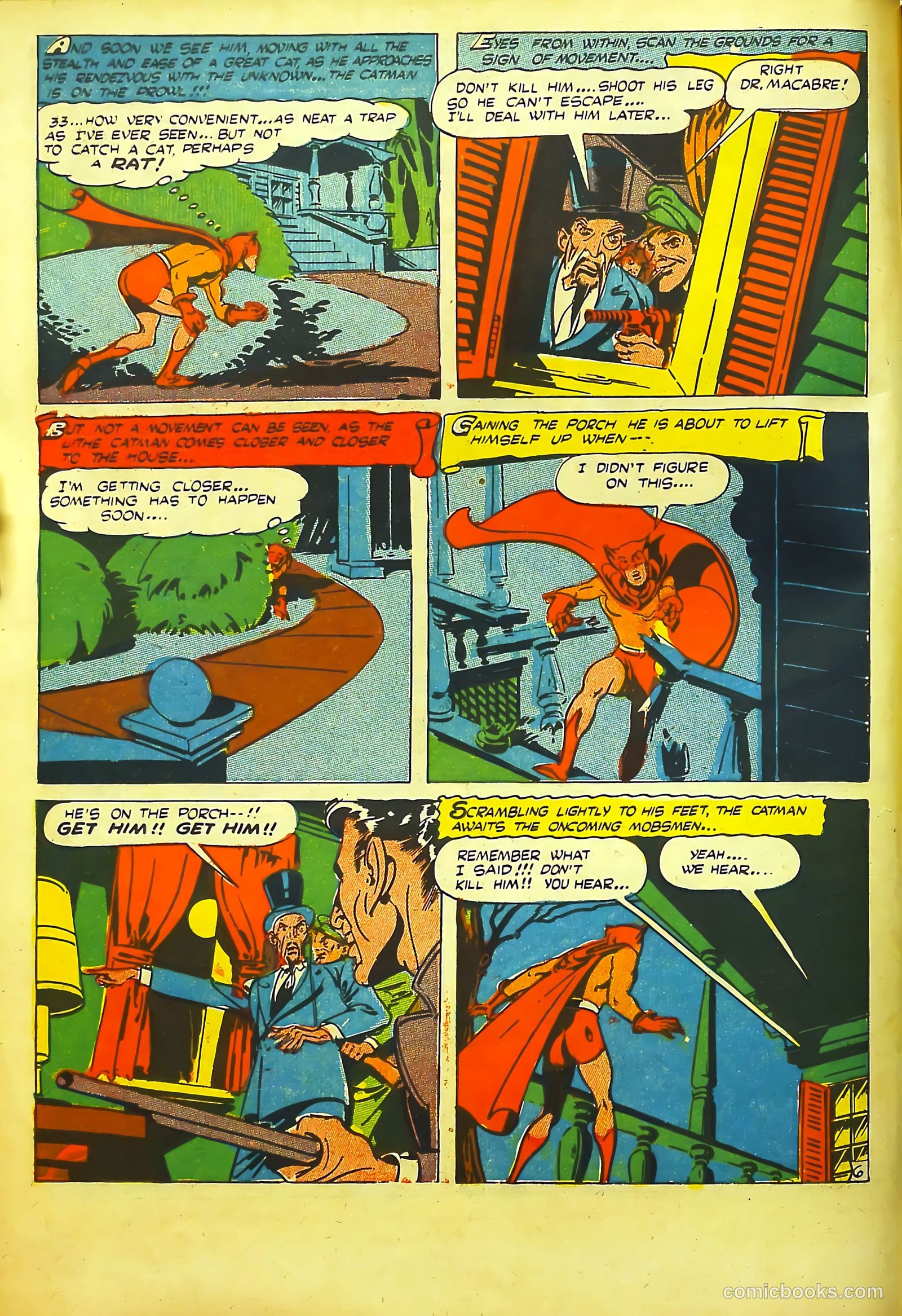 Cat-Man Comics #28 (1945) — page 8 of 52