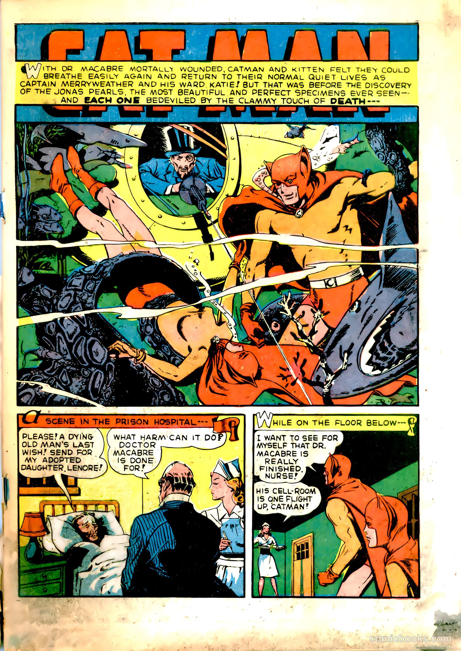 Cat-Man Comics #32 (1946) — page 4 of 53