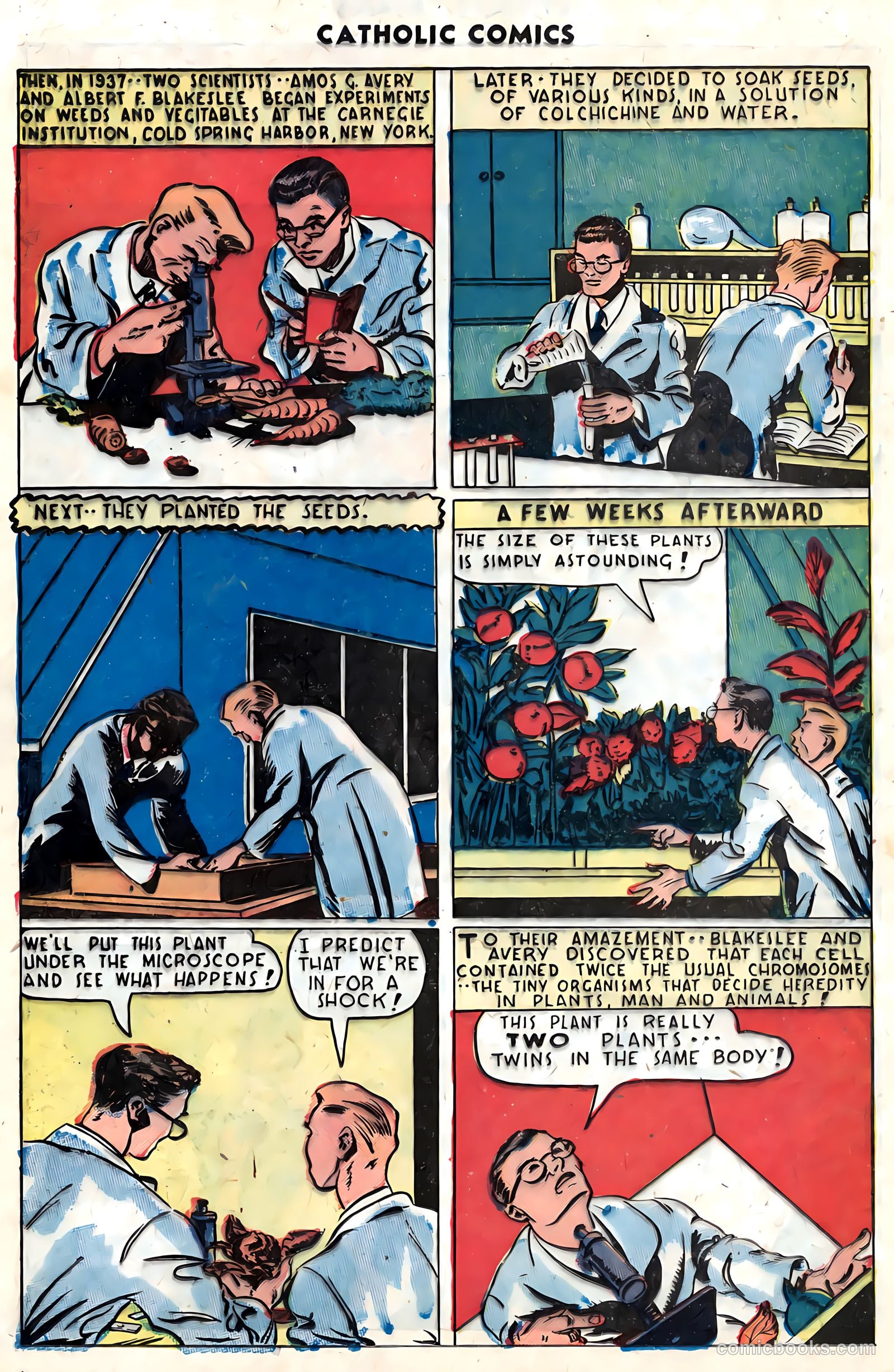 Catholic Comics #5 (1946) — page 27 of 35
