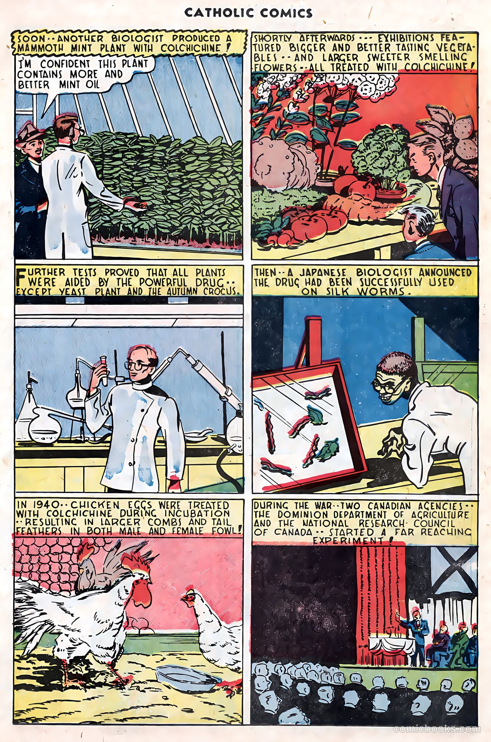Catholic Comics #5 (1946) — page 28 of 35