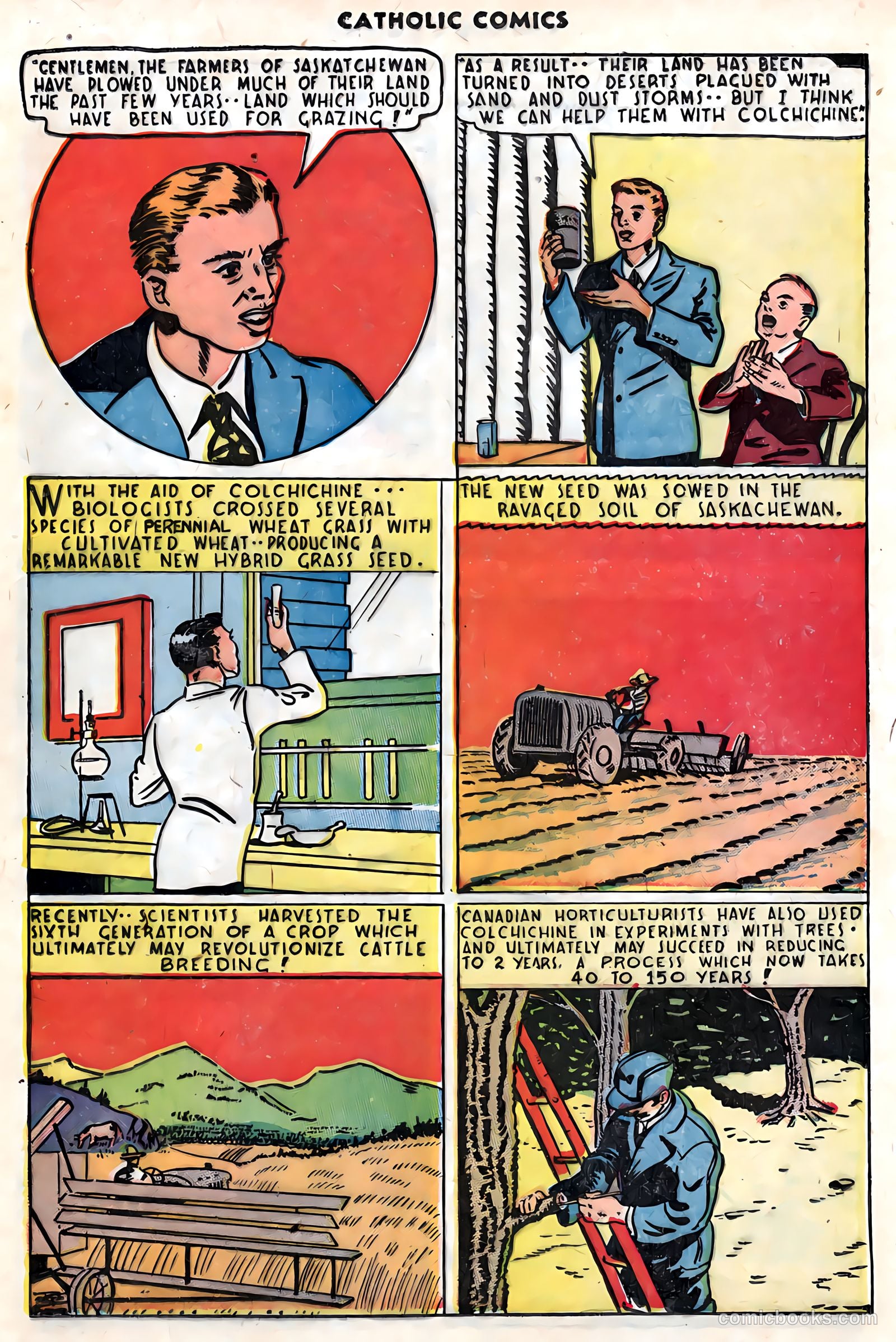 Catholic Comics #5 (1946) — page 29 of 35