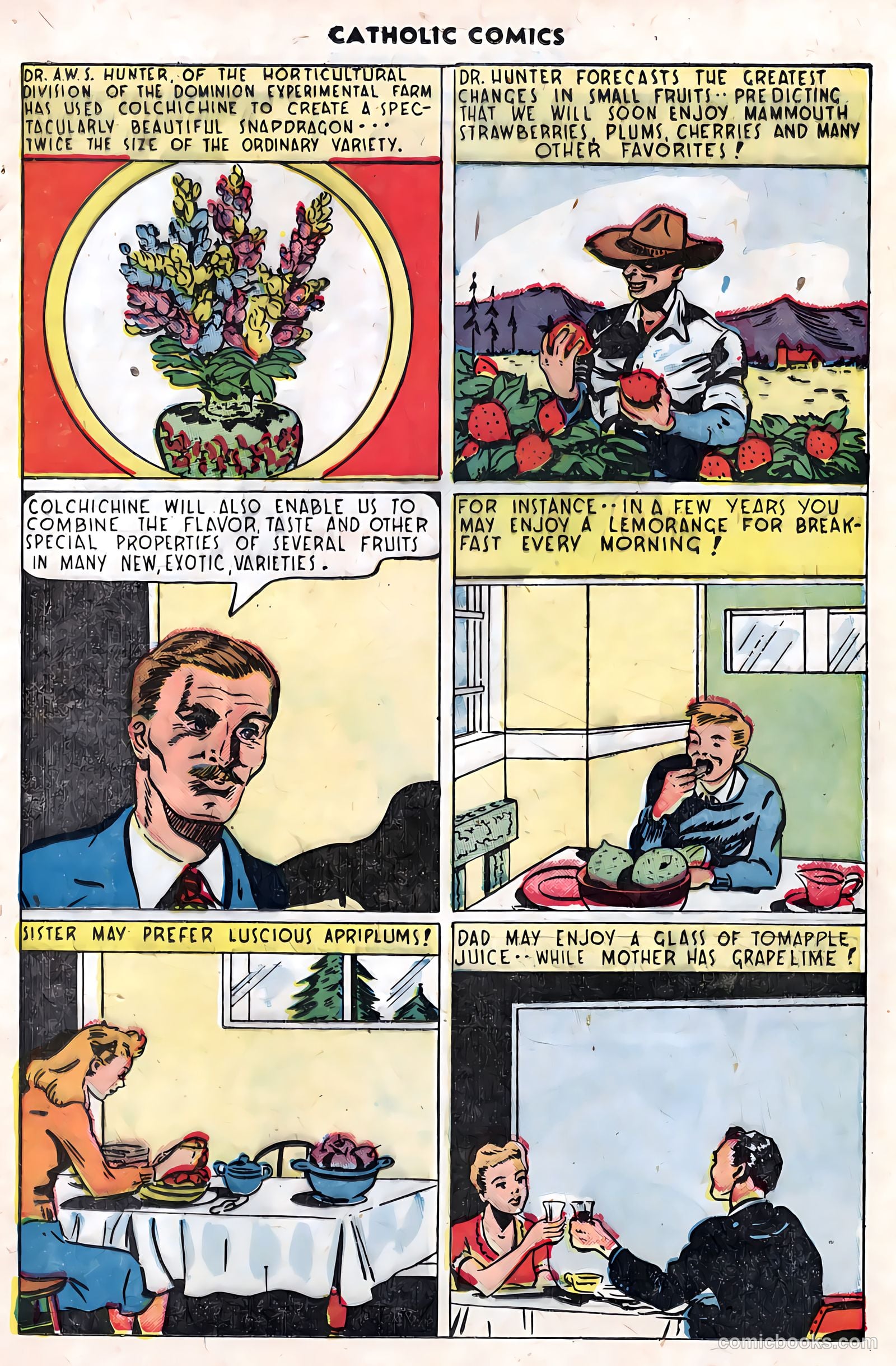 Catholic Comics #5 (1946) — page 30 of 35