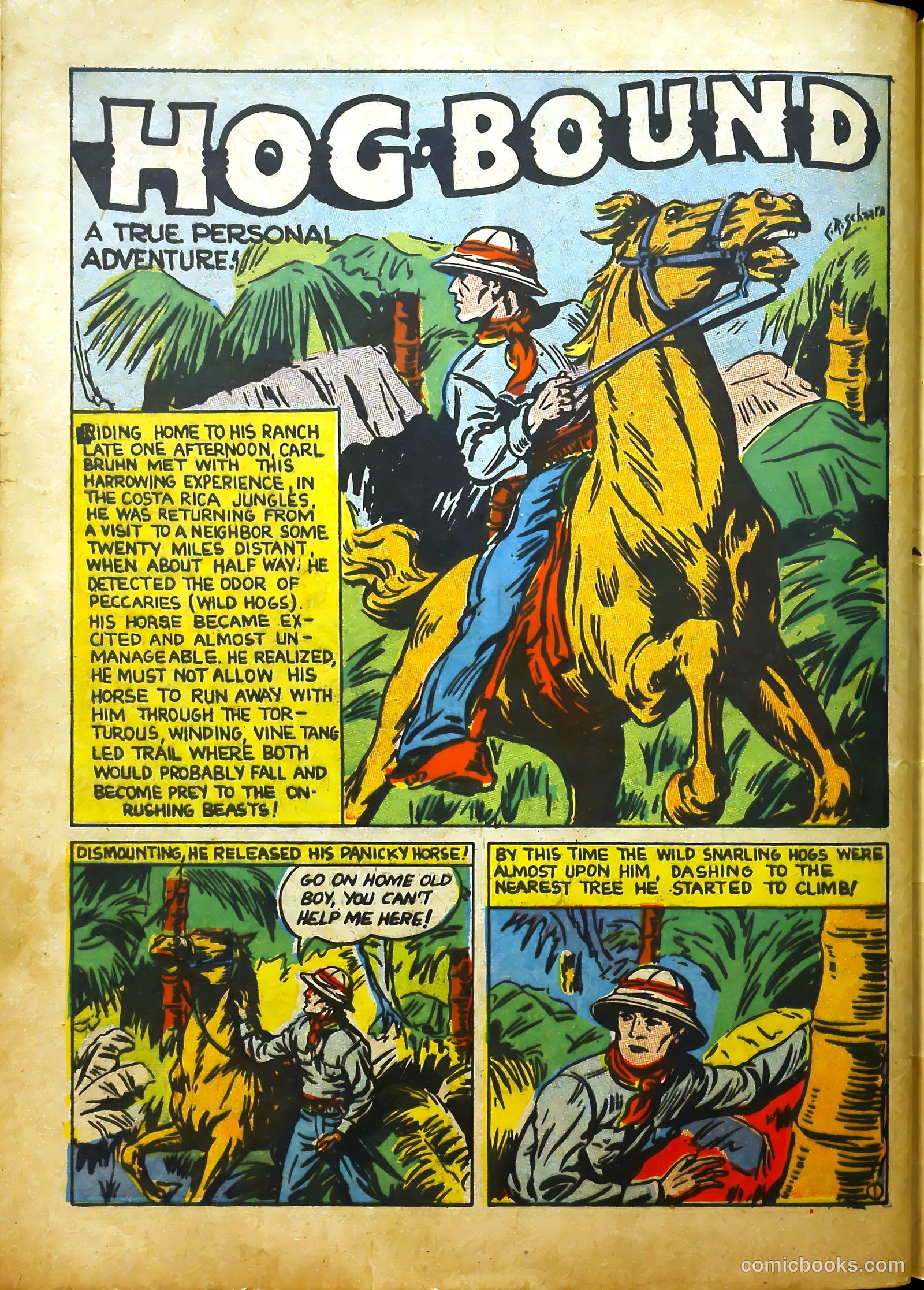 Catman #19 (1966) — page 55 of 62