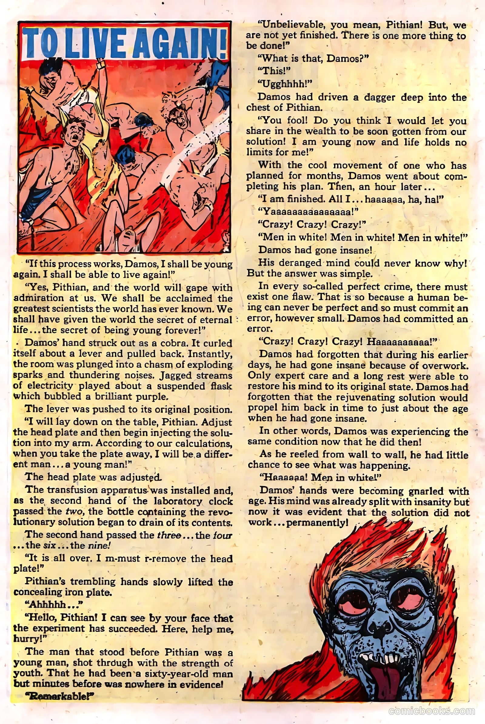 Chamber of Chills #11 (2024) — page 17 of 33