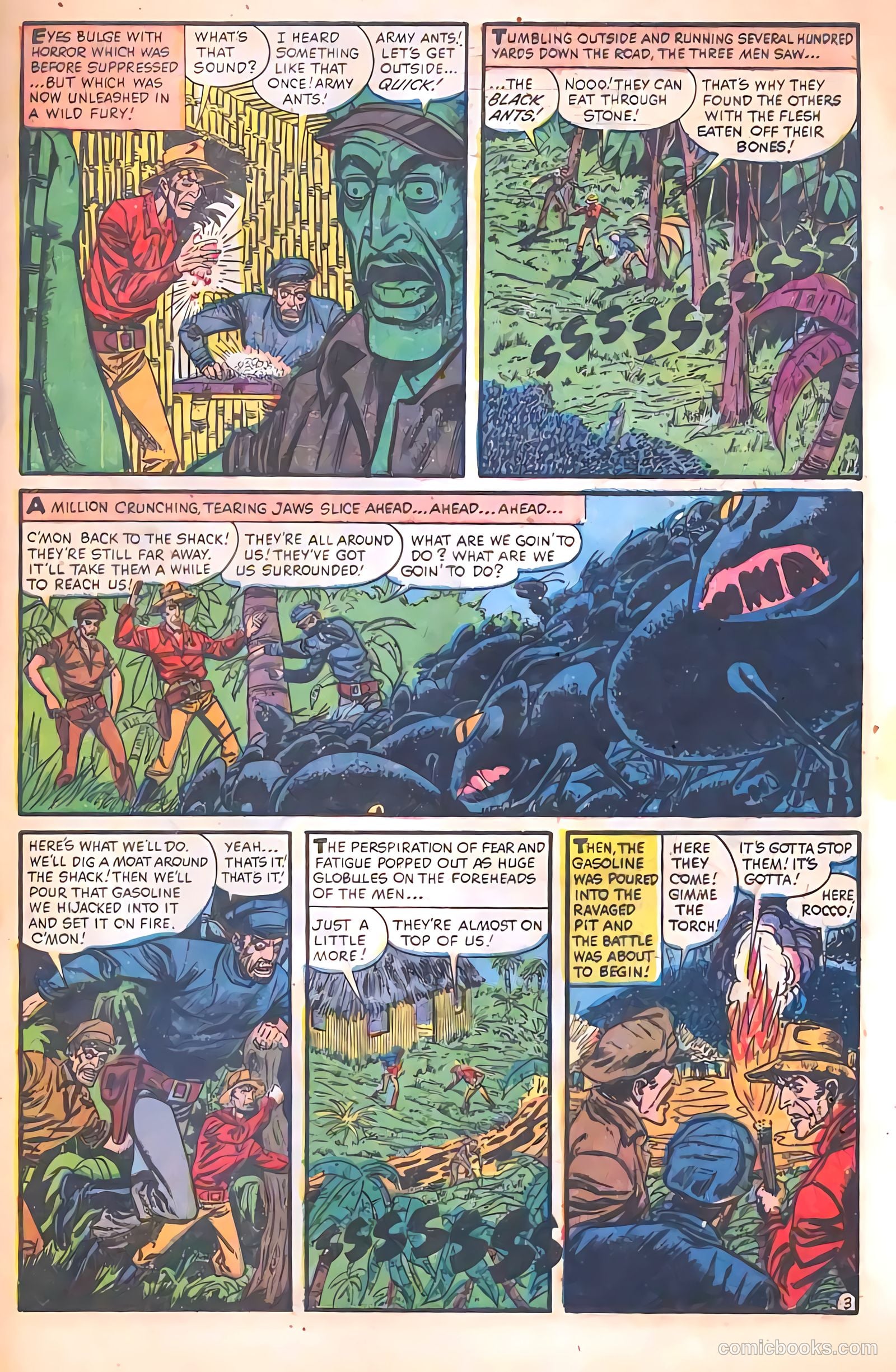 Chamber of Chills #13 (2024) — page 29 of 36