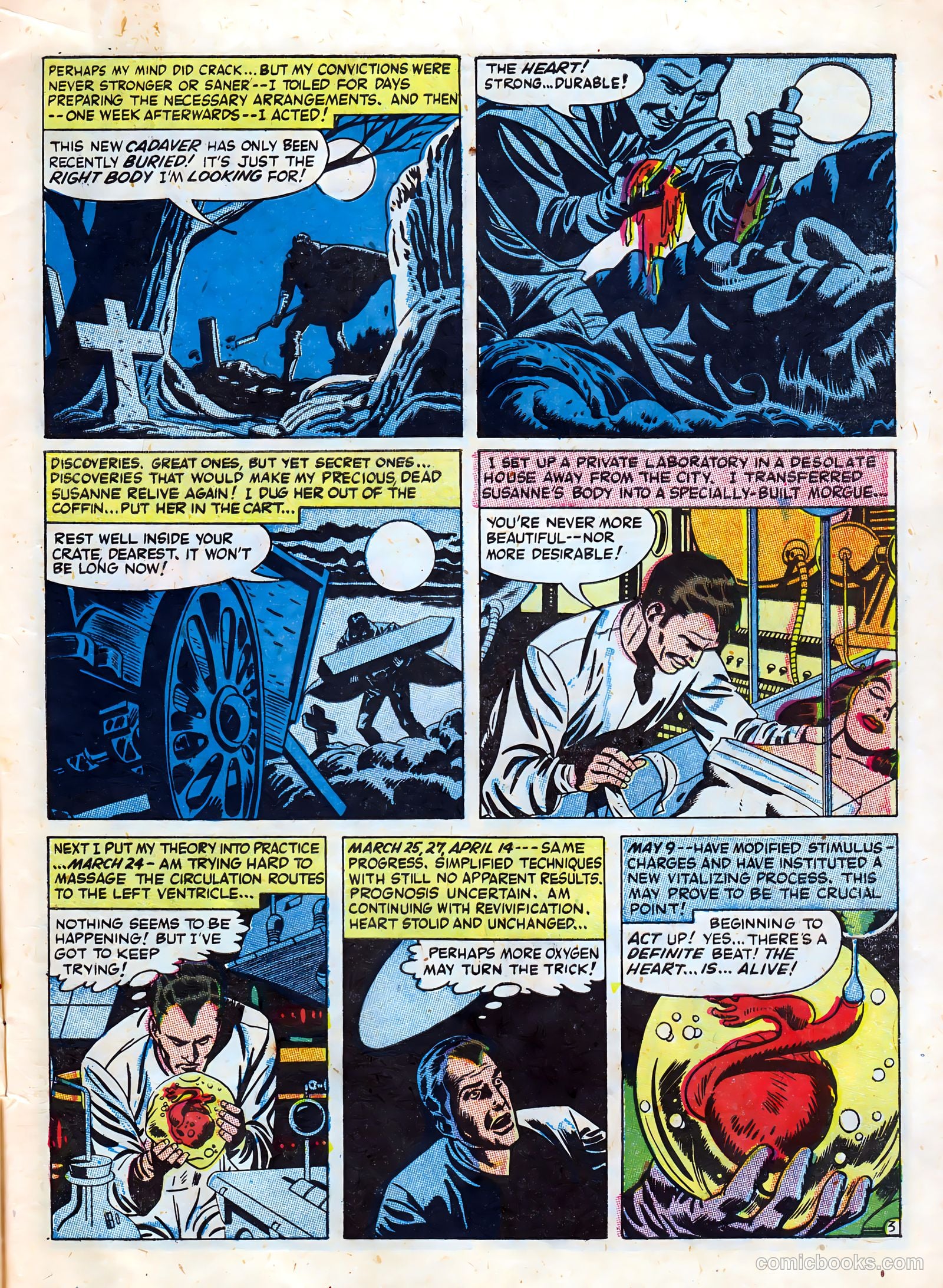 Chamber of Chills #23 (2024) — page 7 of 36