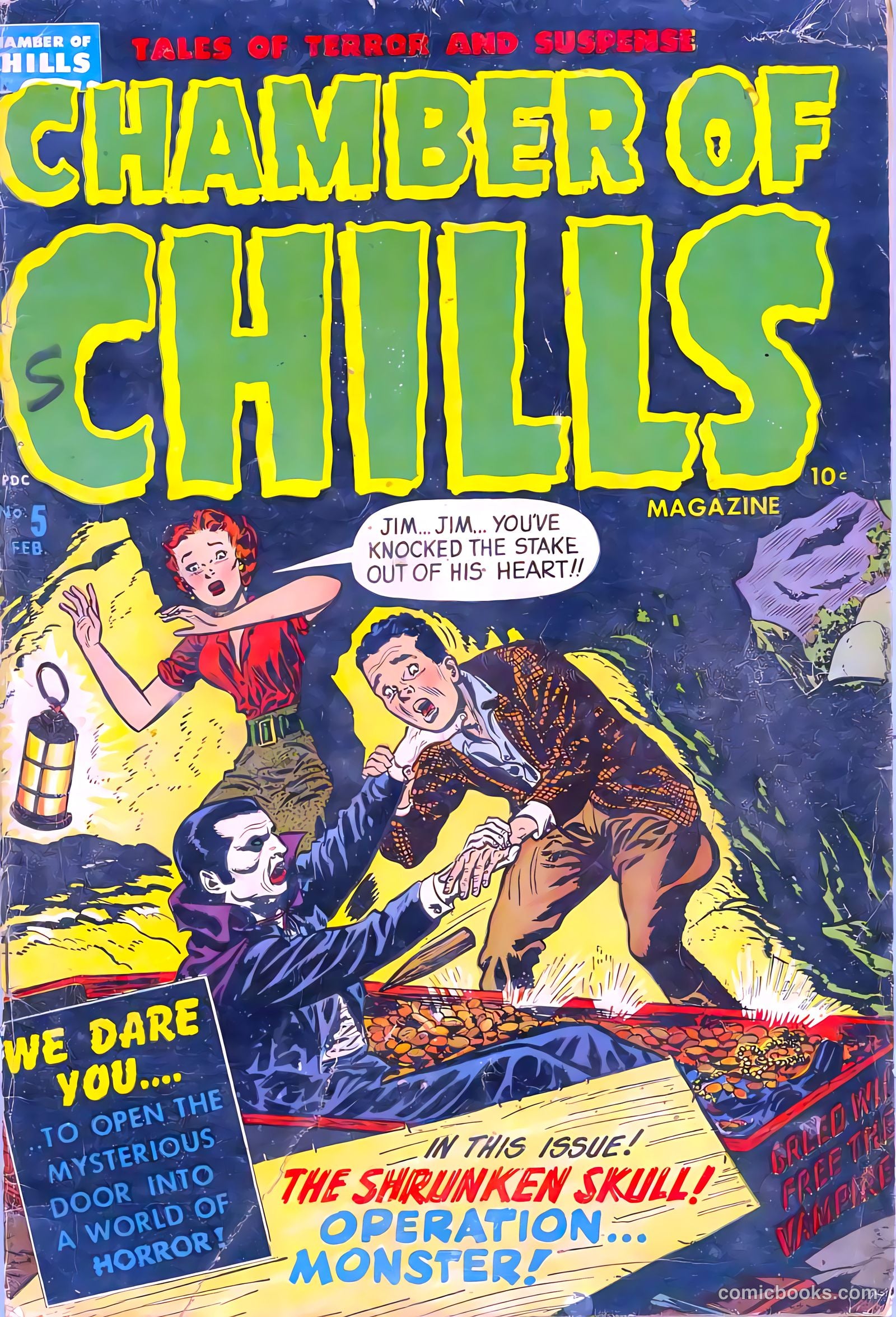 Chamber of Chills #5