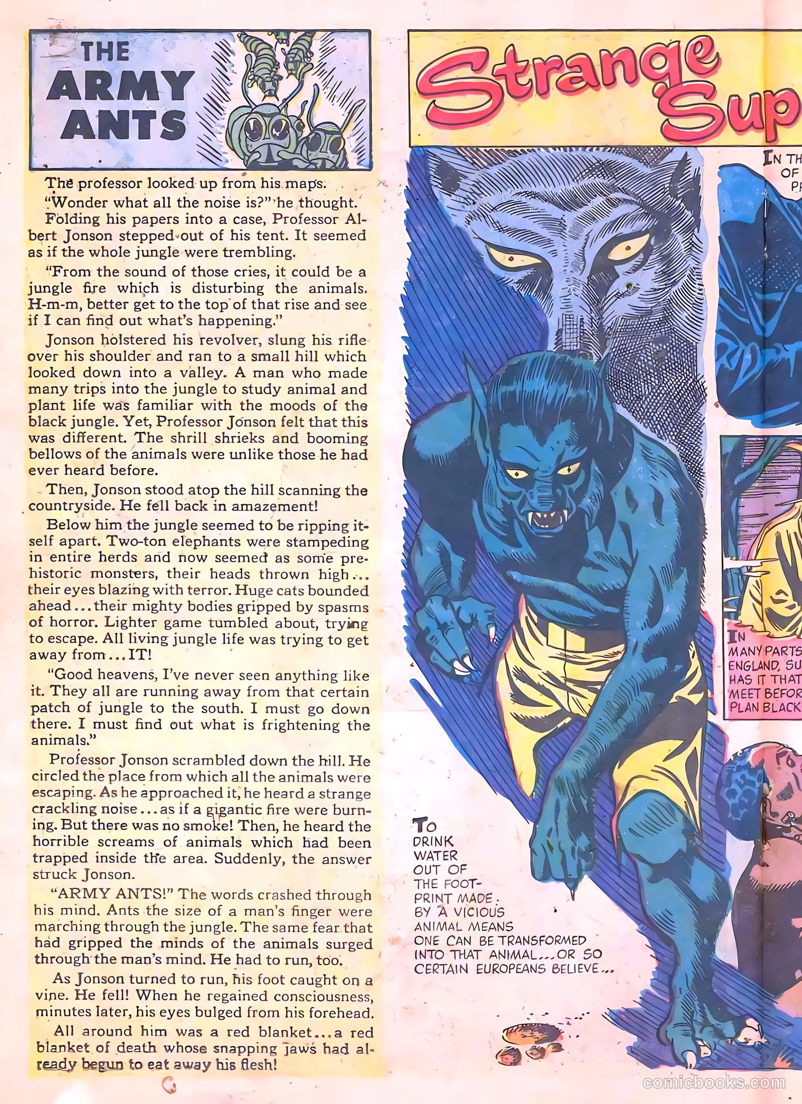 Chamber of Chills #5 (1979) — page 18 of 36