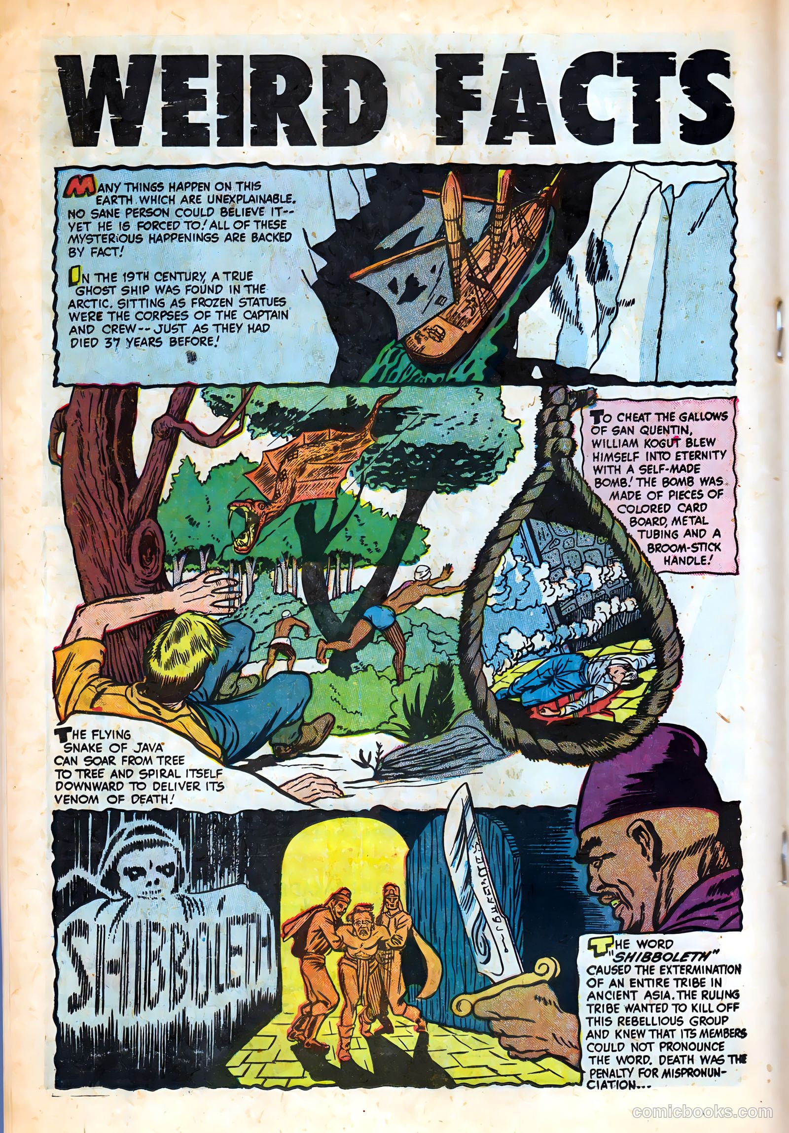 Chamber of Chills #8 (1952) — page 18 of 36