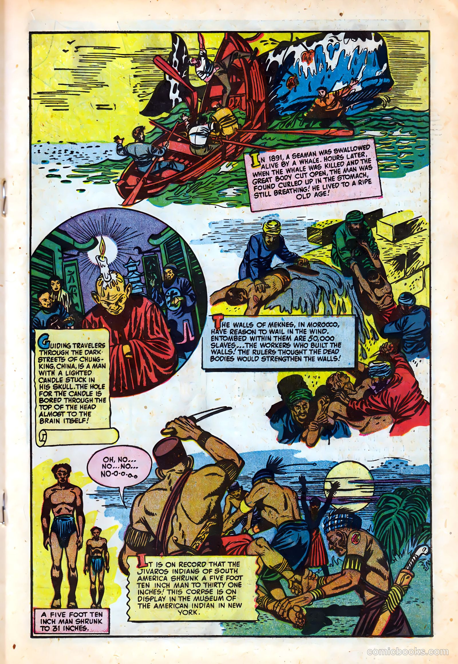 Chamber of Chills #8 (1952) — page 19 of 36