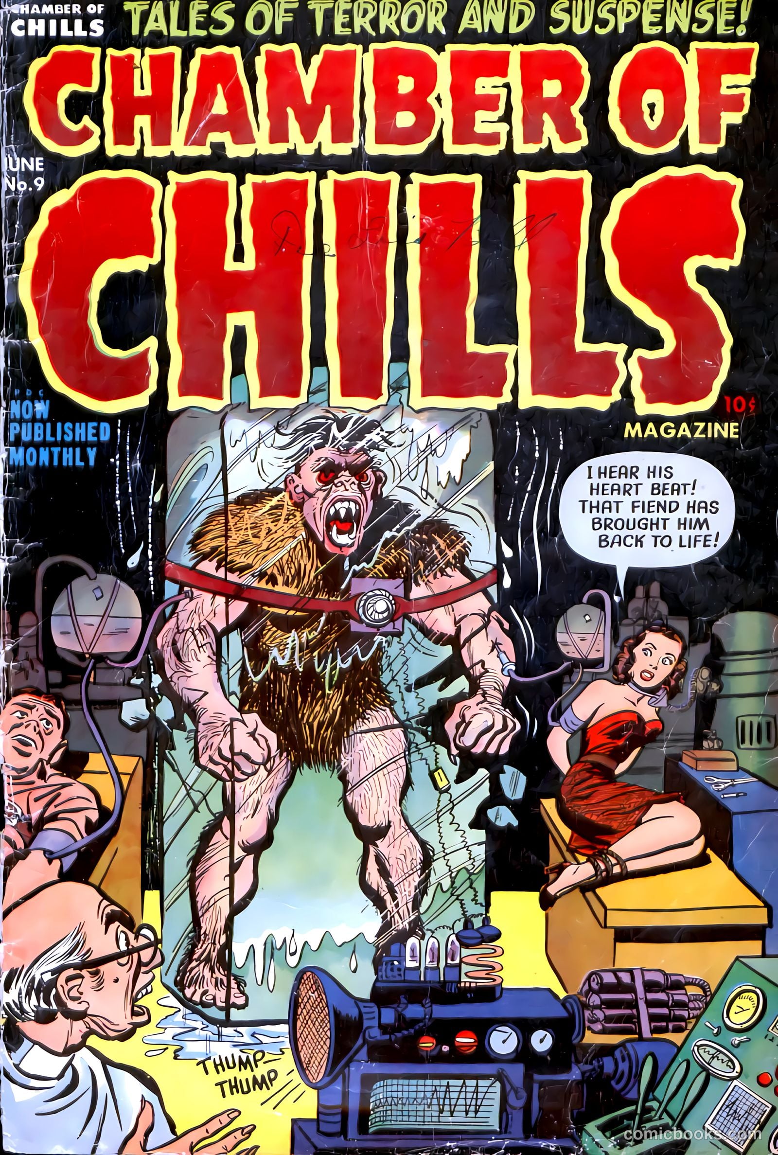 Chamber of Chills #9