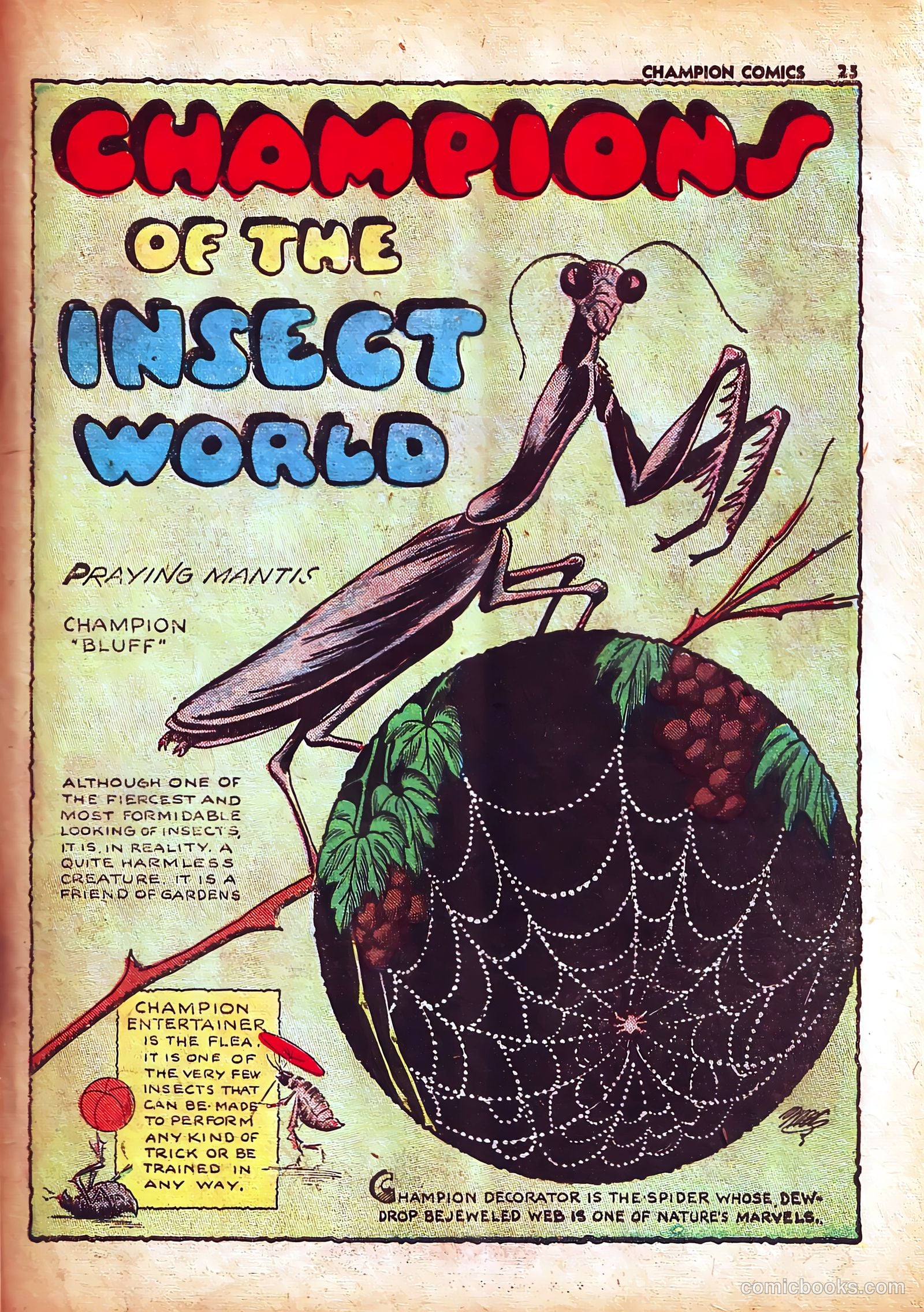 Champion Comics #5 (1940) — page 26 of 67