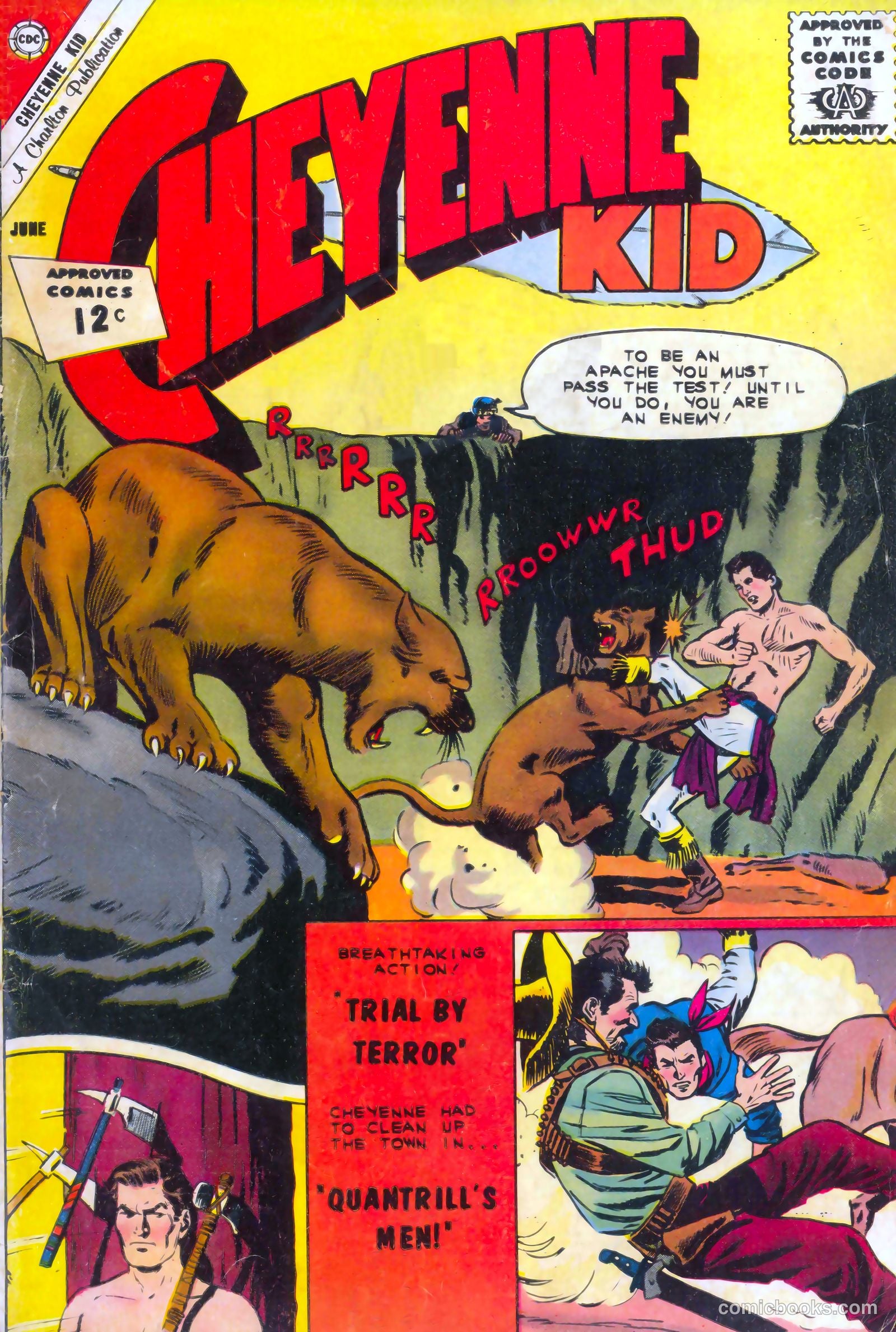 Cheyenne Kid #34