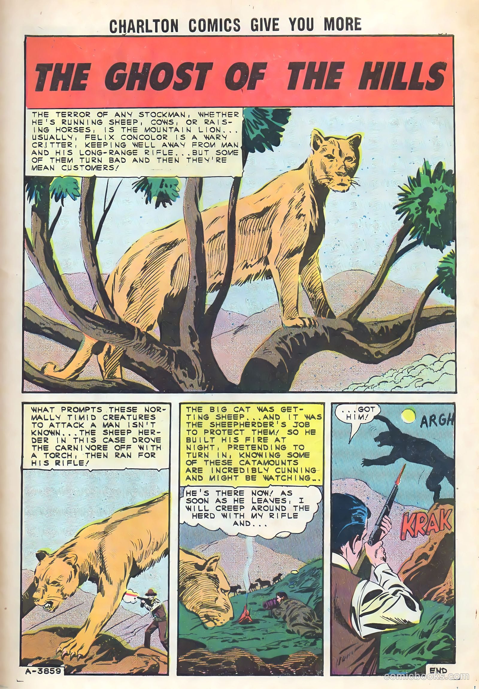 Cheyenne Kid #50 (1965) — page 33 of 36