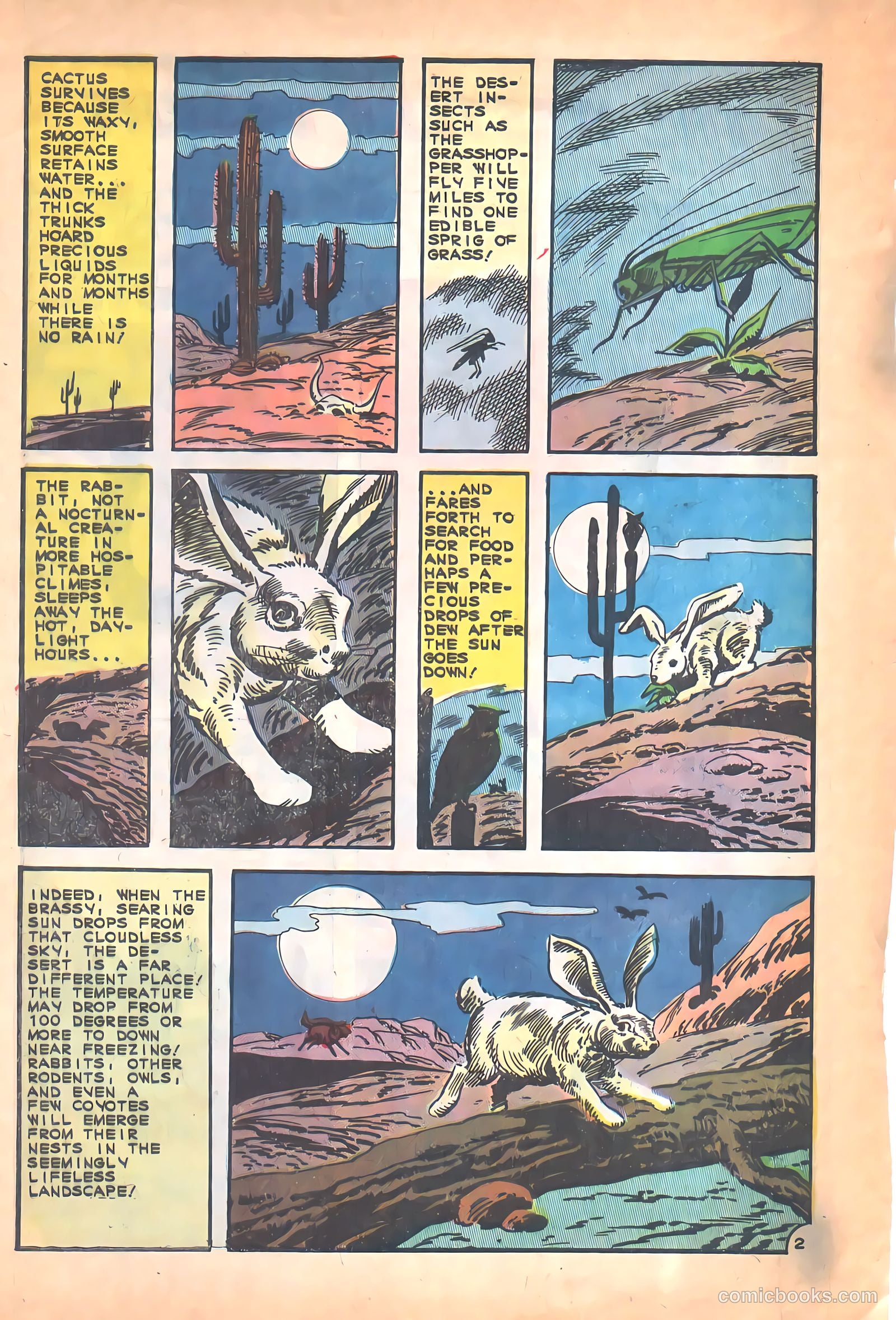 Cheyenne Kid #53 (1965) — page 32 of 36