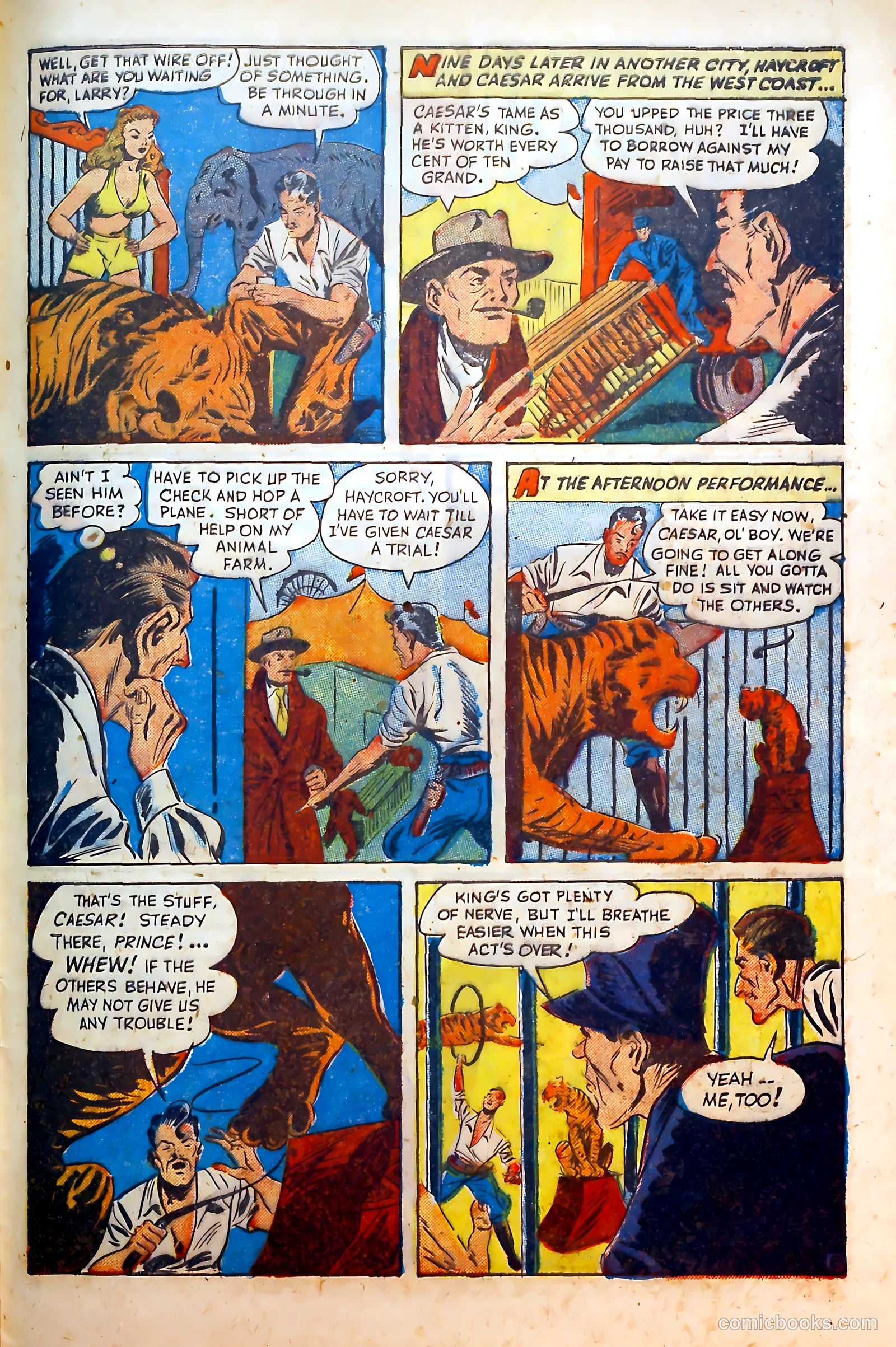 Circus Comics #1 (1945) — page 29 of 36