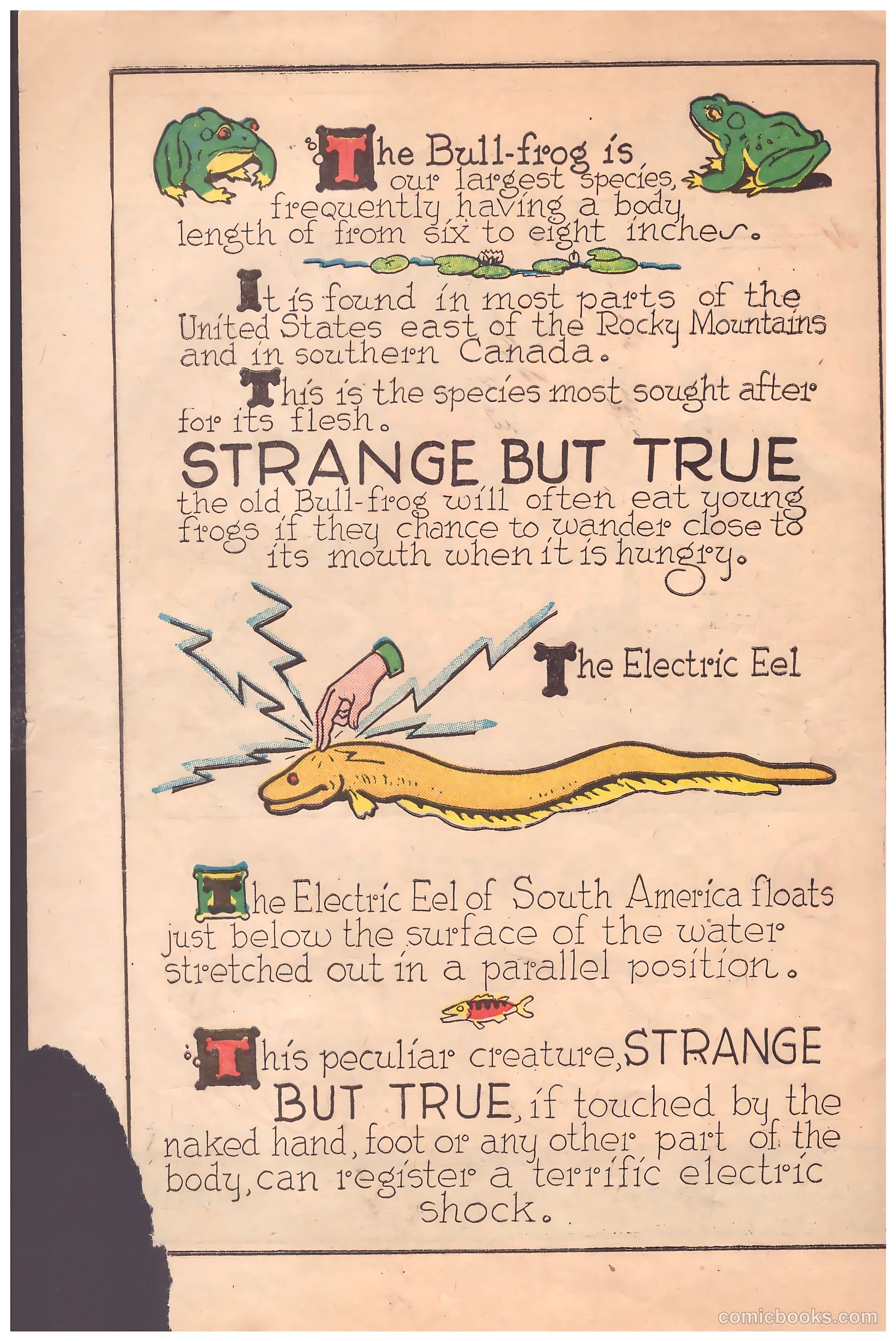 Circus of Fun Comics #1 (1945) — page 34 of 36