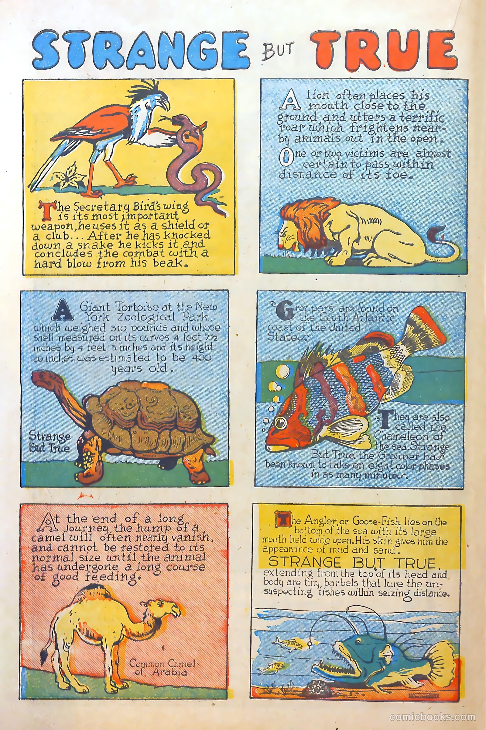 Circus of Fun Comics #2 (1947) — page 18 of 36