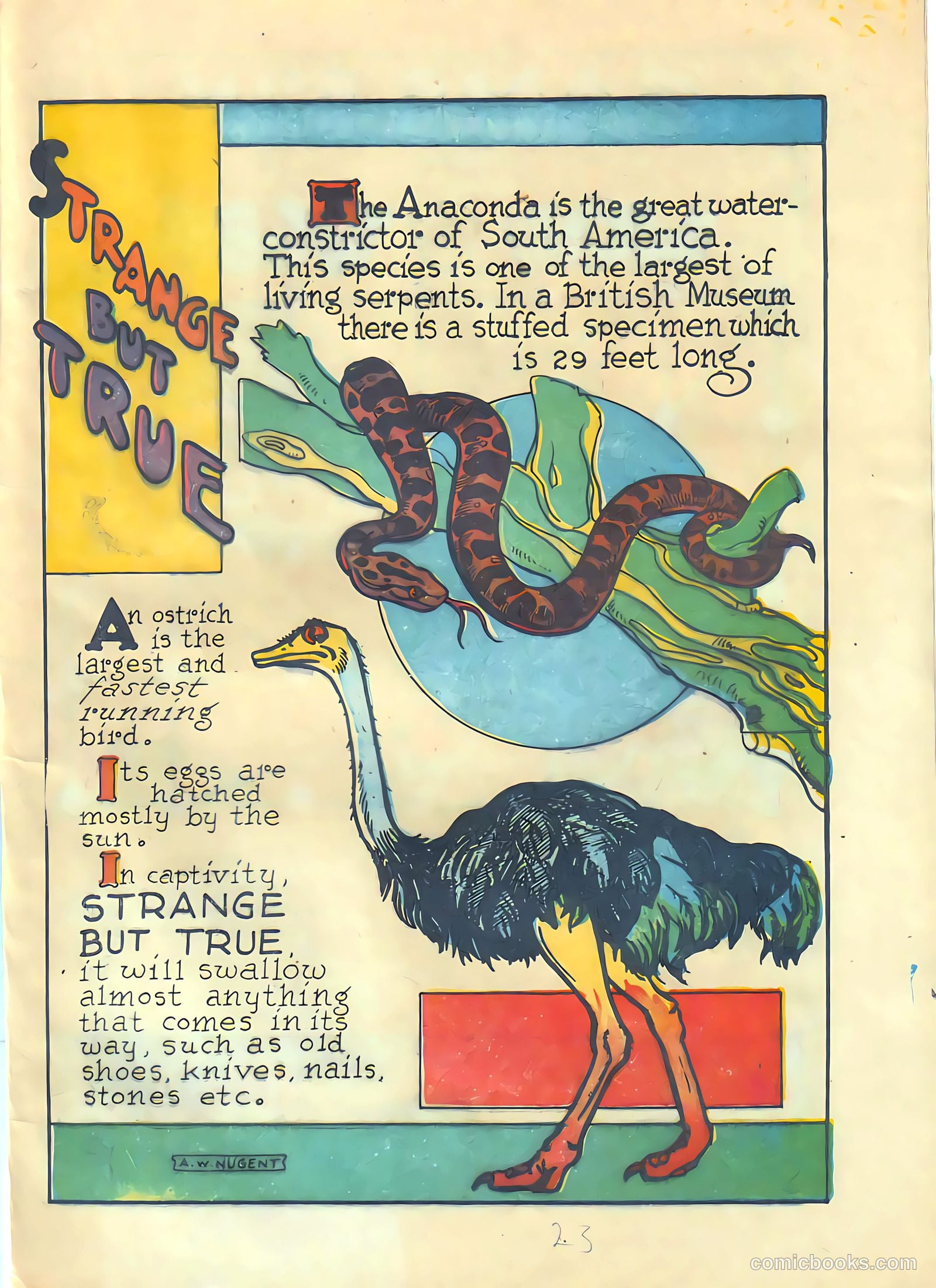 Circus of Fun Comics #3 (1947) — page 23 of 36
