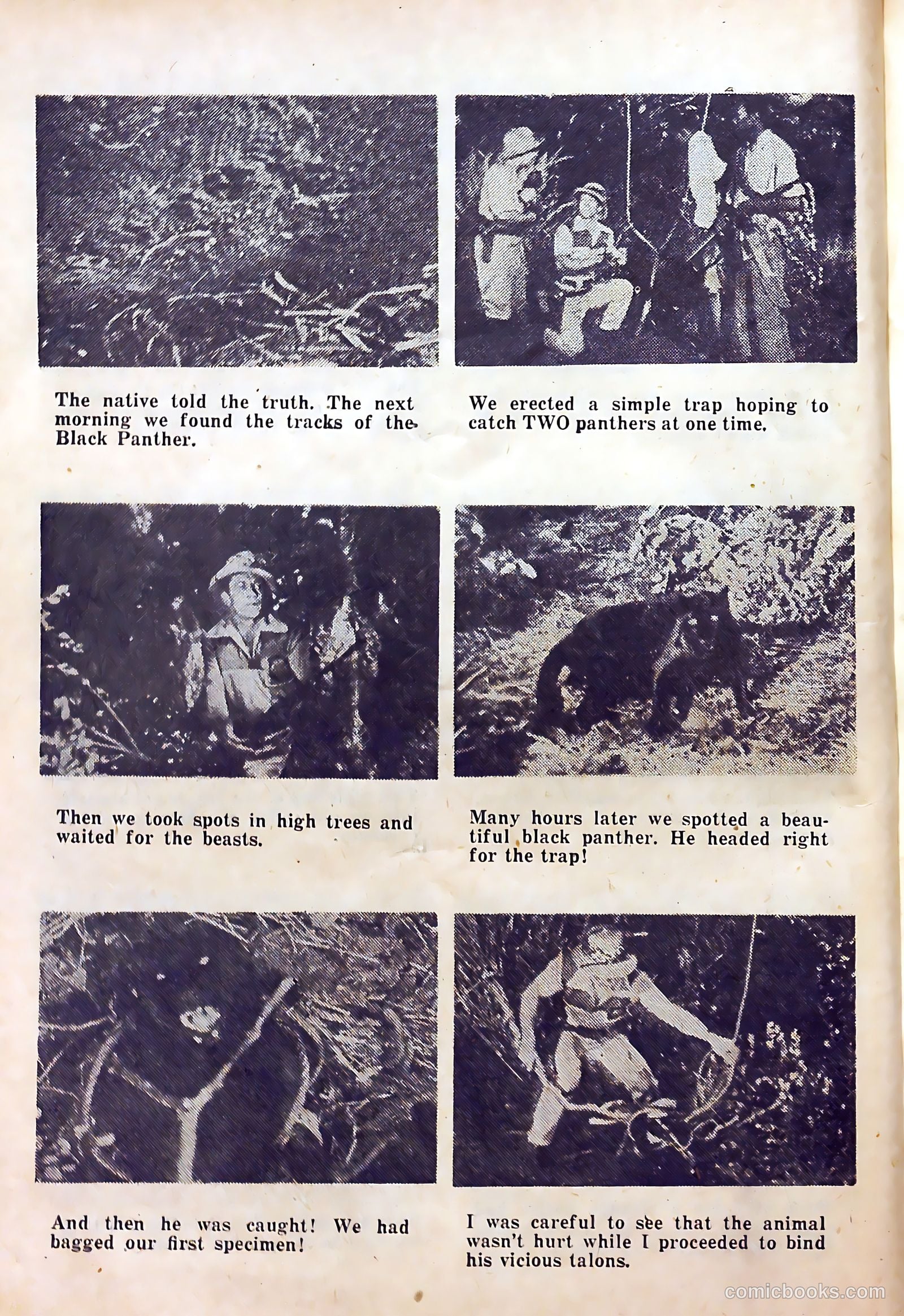 Clyde Beatty Comics #1 (1953) — page 50 of 84