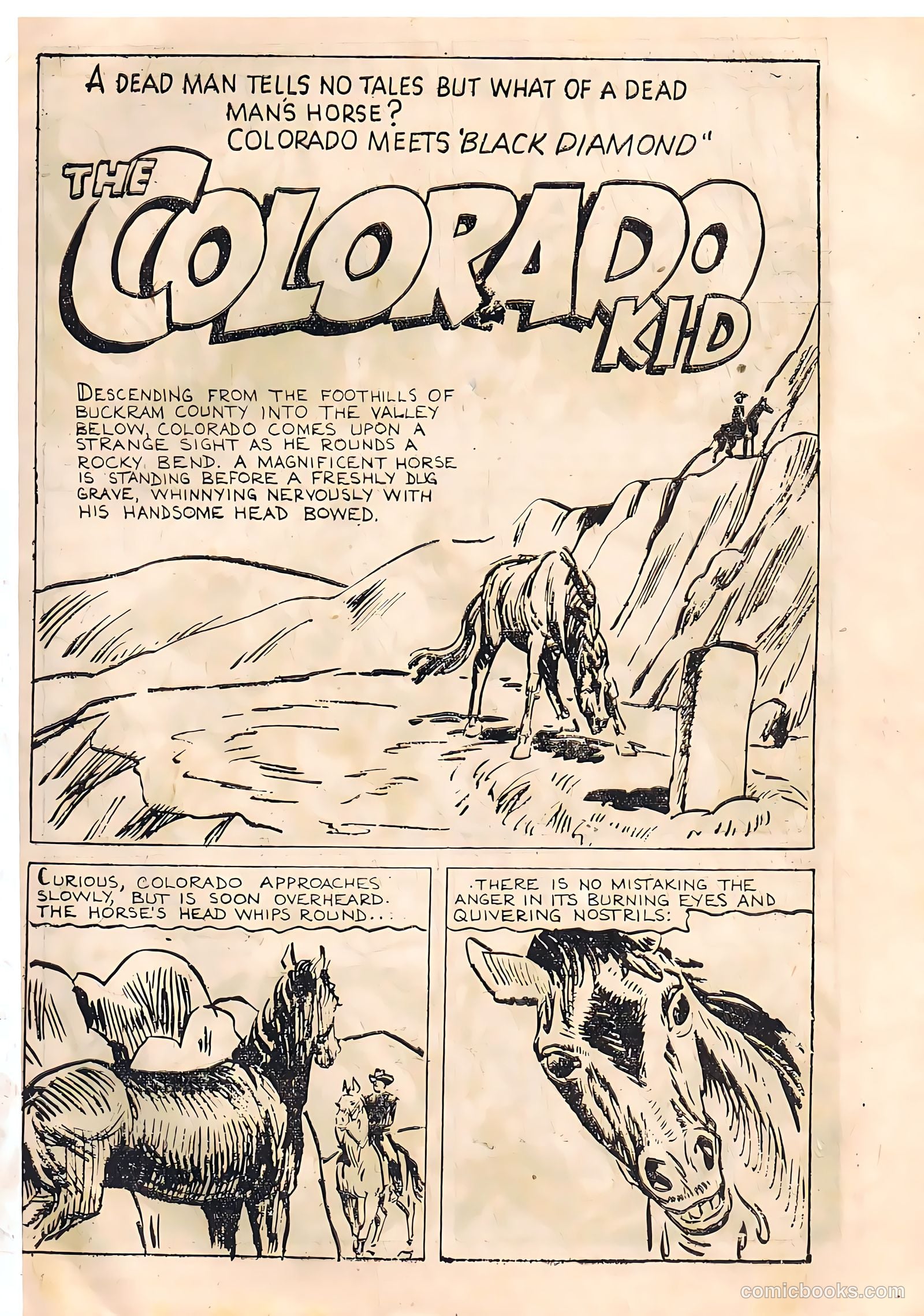 Colorado Kid #43 — page 3 of 28