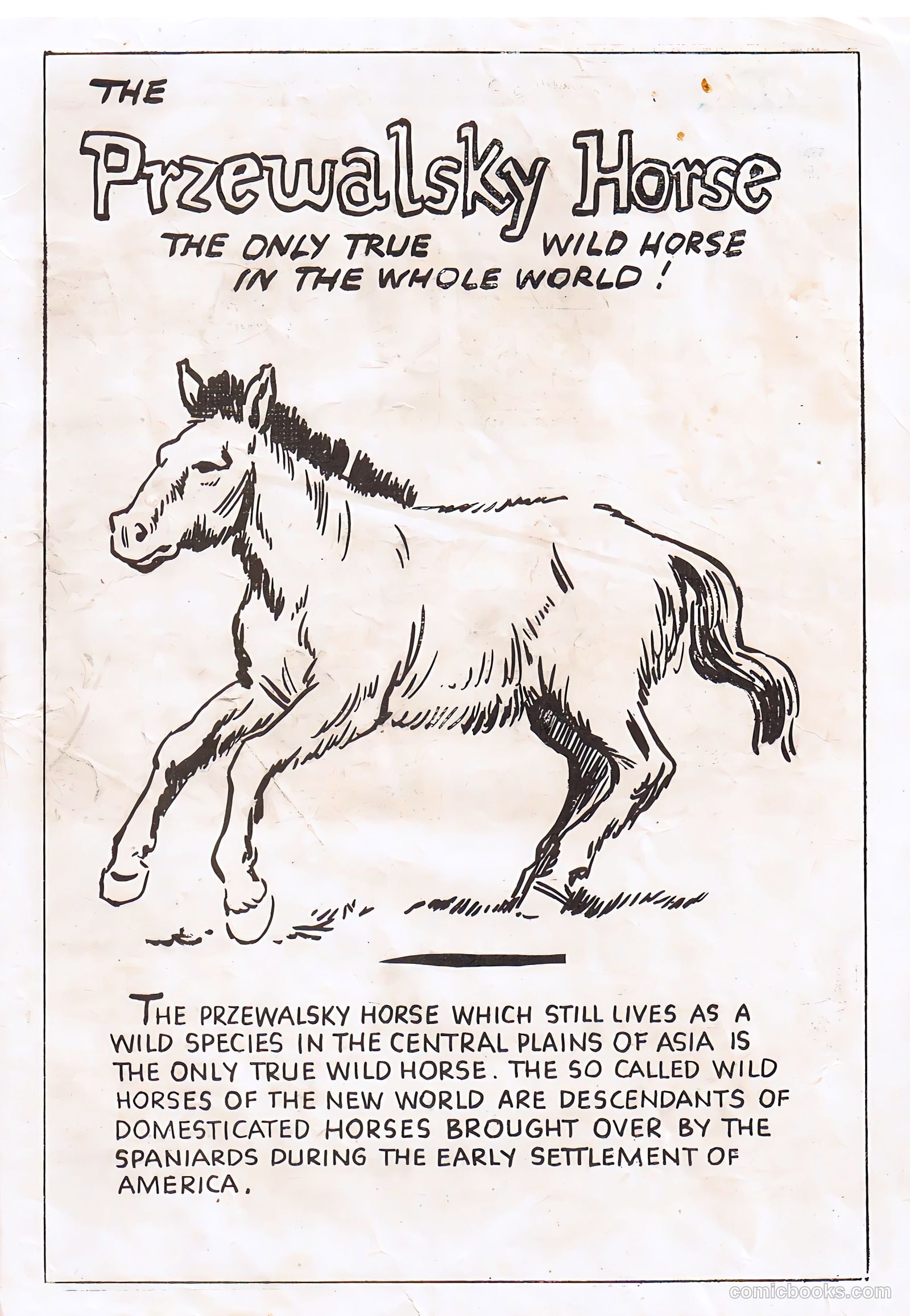 Colorado Kid #58 (1955) — page 27 of 28