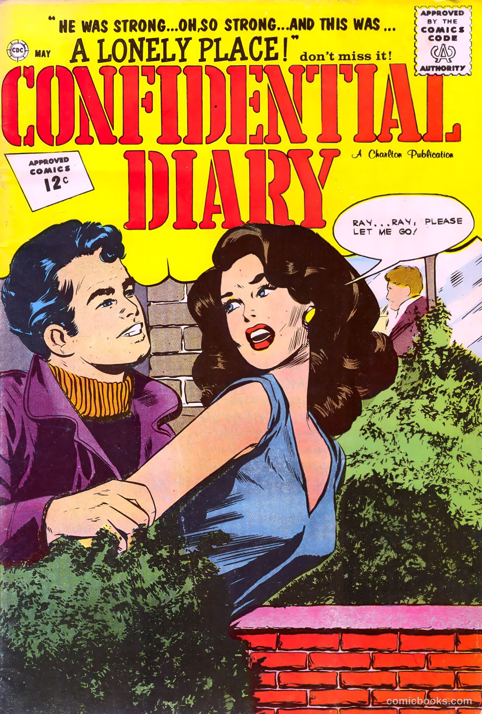 Confidential Diary #12