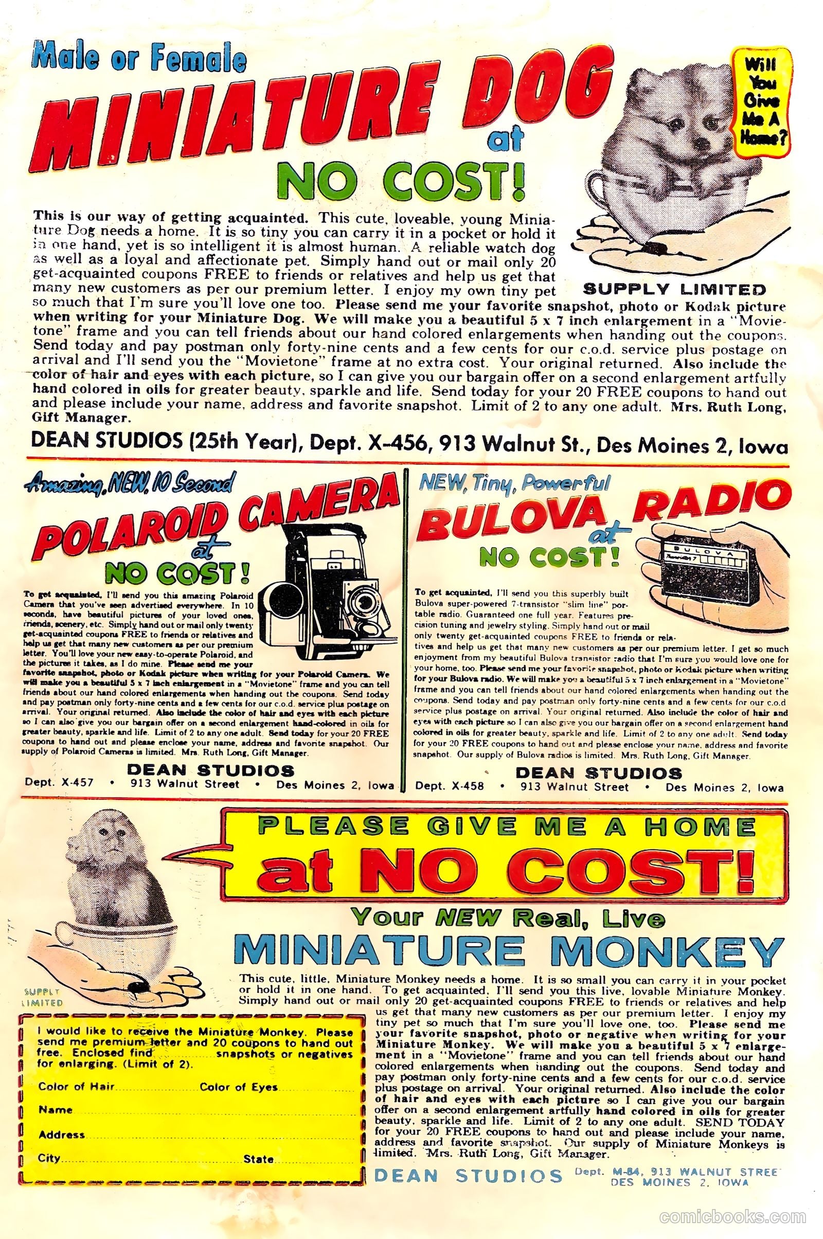 Confidential Diary #14 (1962) — page 36 of 36
