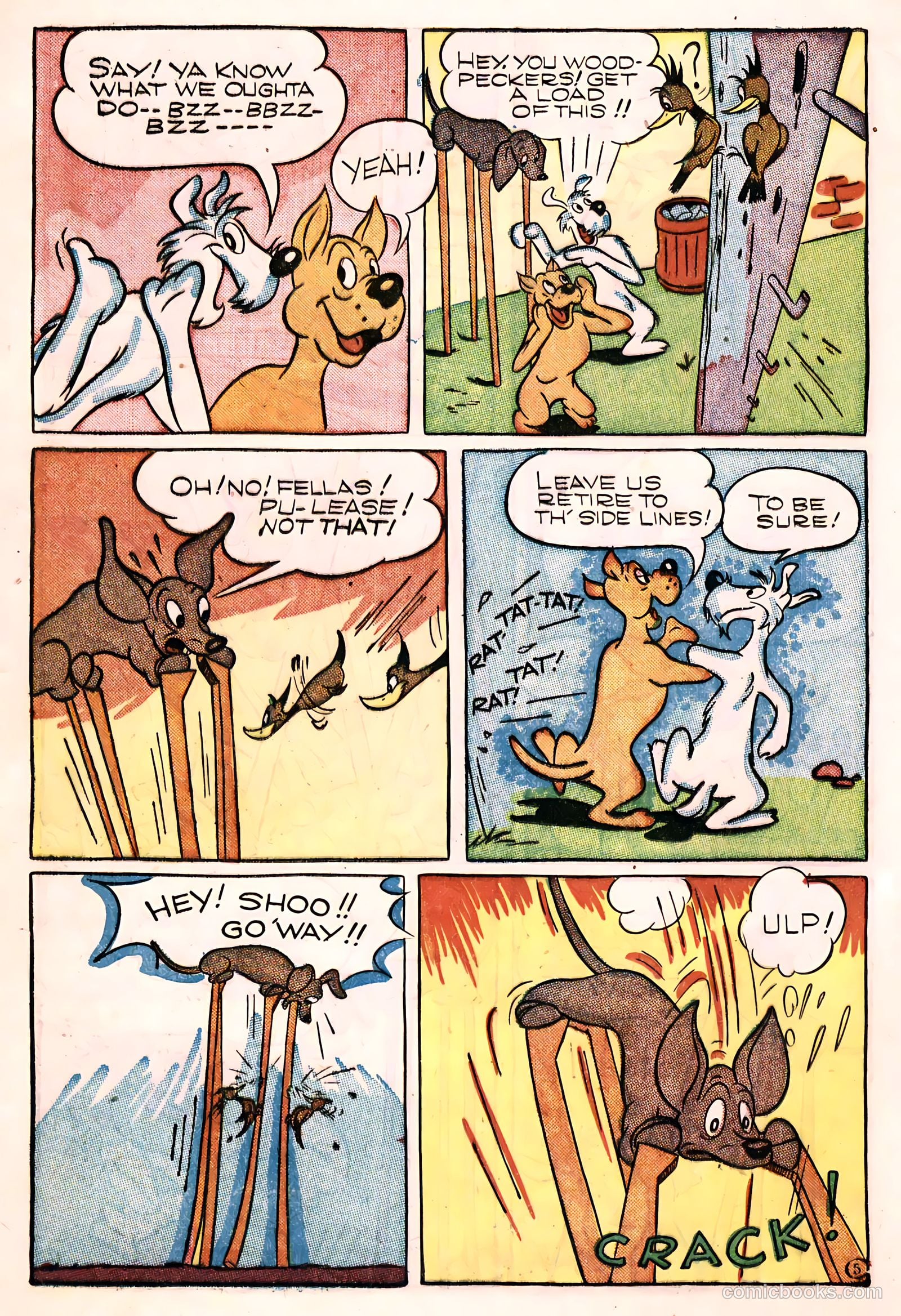 Coo Coo Comics #23 (1946) — page 18 of 52