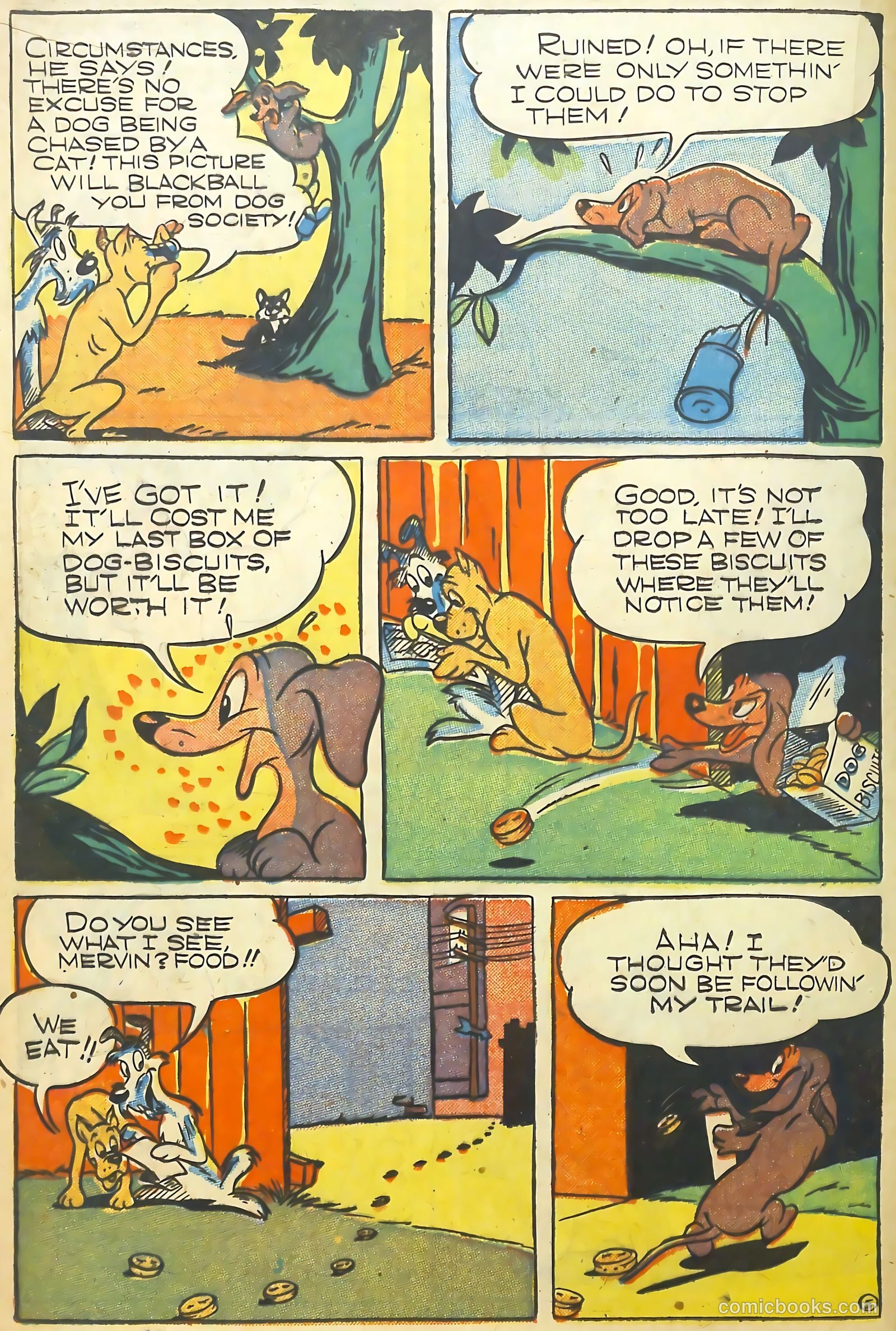 Coo Coo Comics #25 (1946) — page 16 of 52