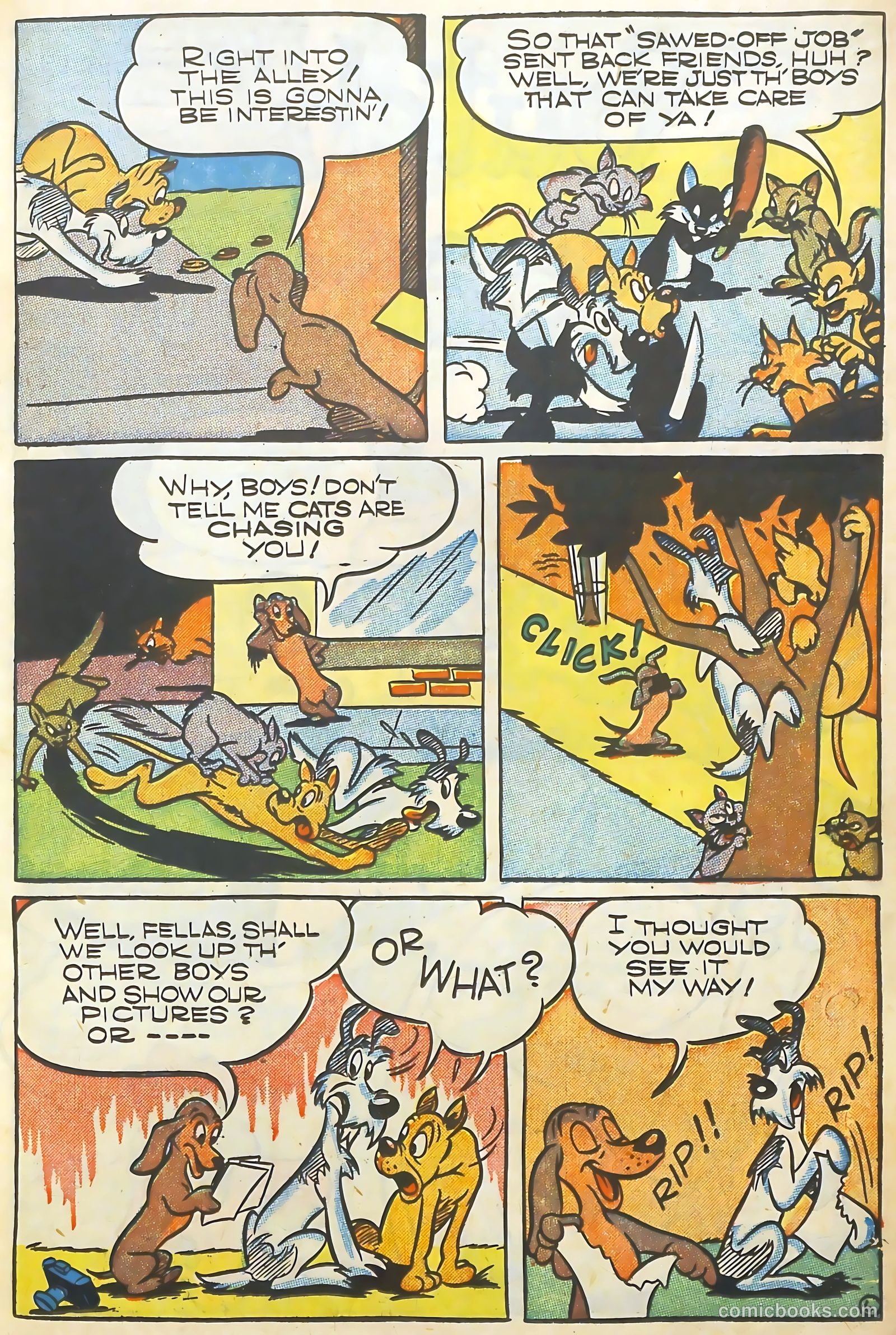 Coo Coo Comics #25 (1946) — page 17 of 52