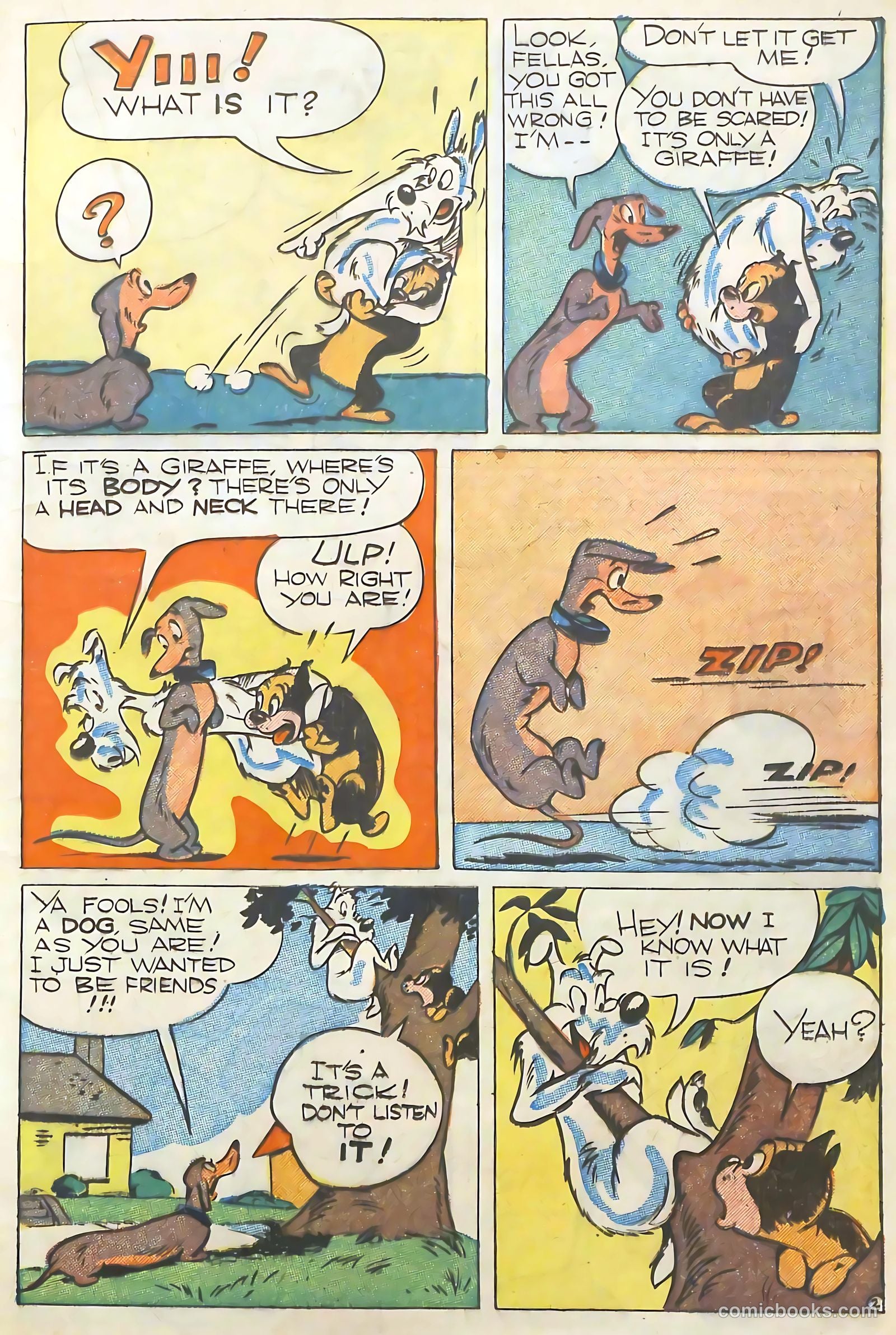 Coo Coo Comics #29 (1946) — page 25 of 52