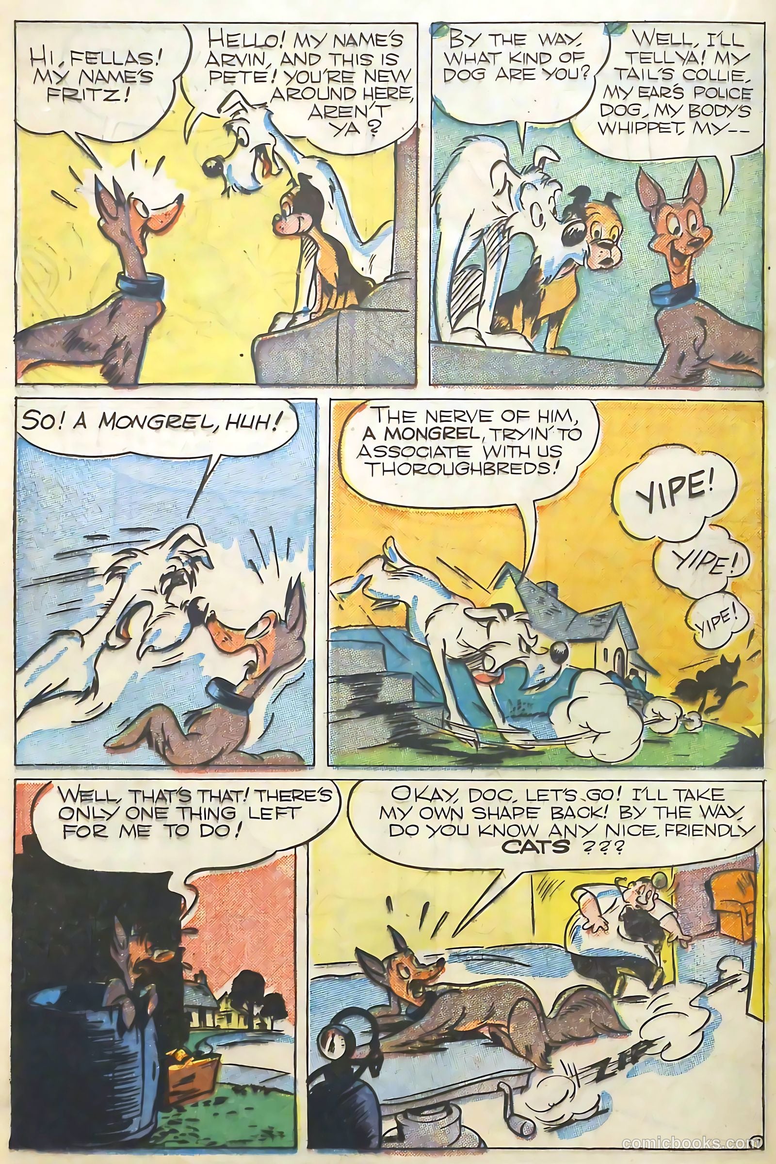 Coo Coo Comics #29 (1946) — page 30 of 52
