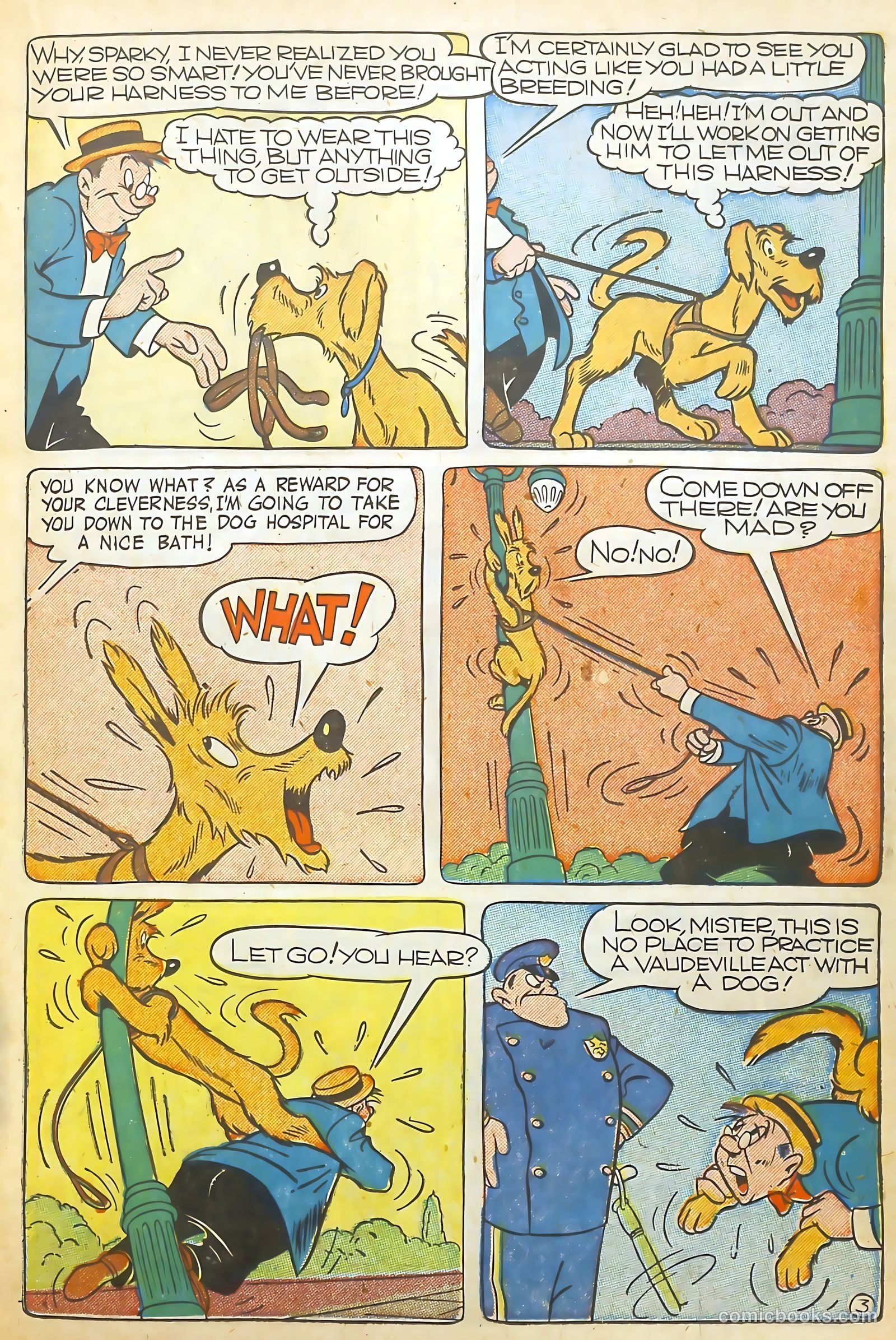 Coo Coo Comics #30 (1946) — page 19 of 52