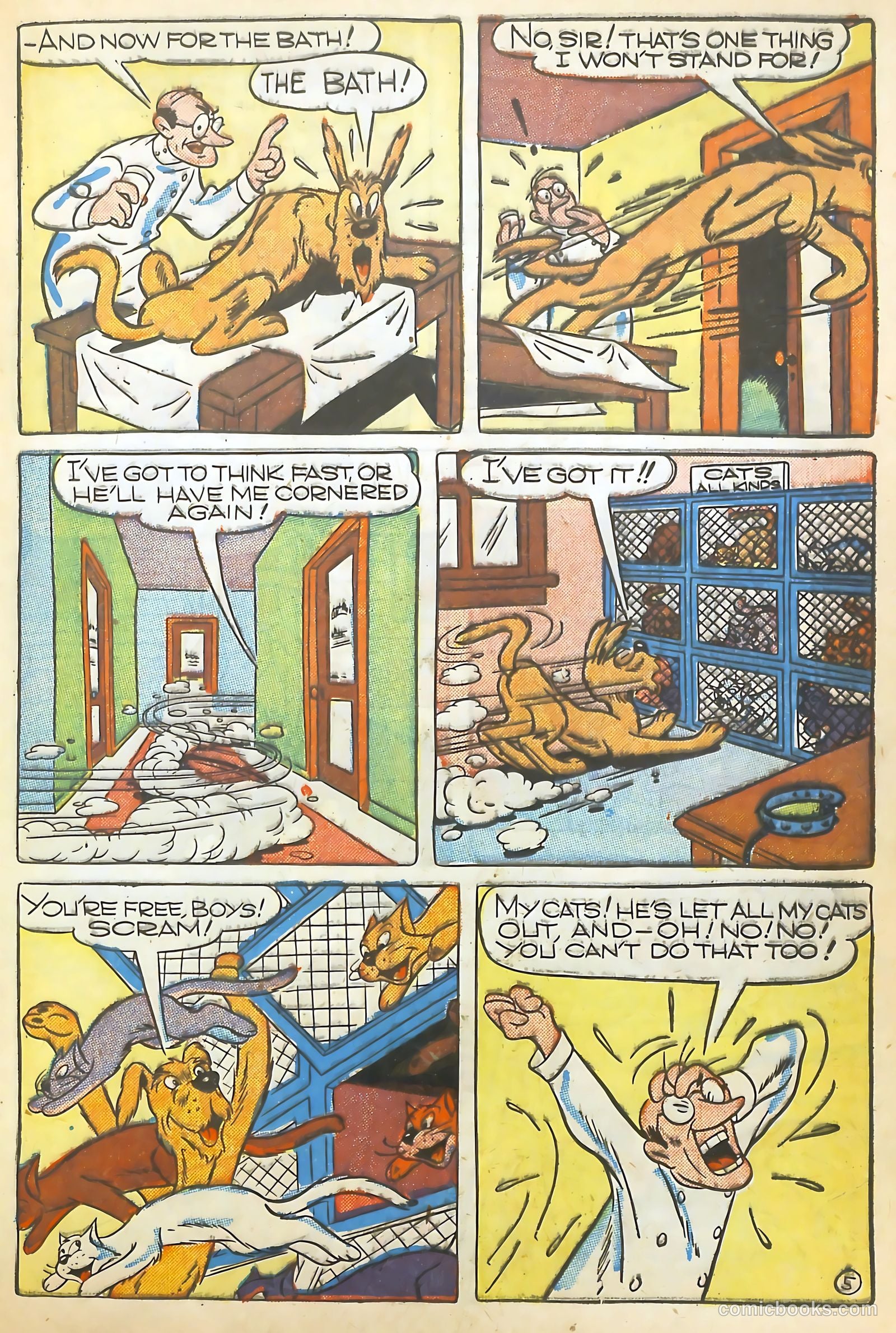 Coo Coo Comics #30 (1946) — page 21 of 52