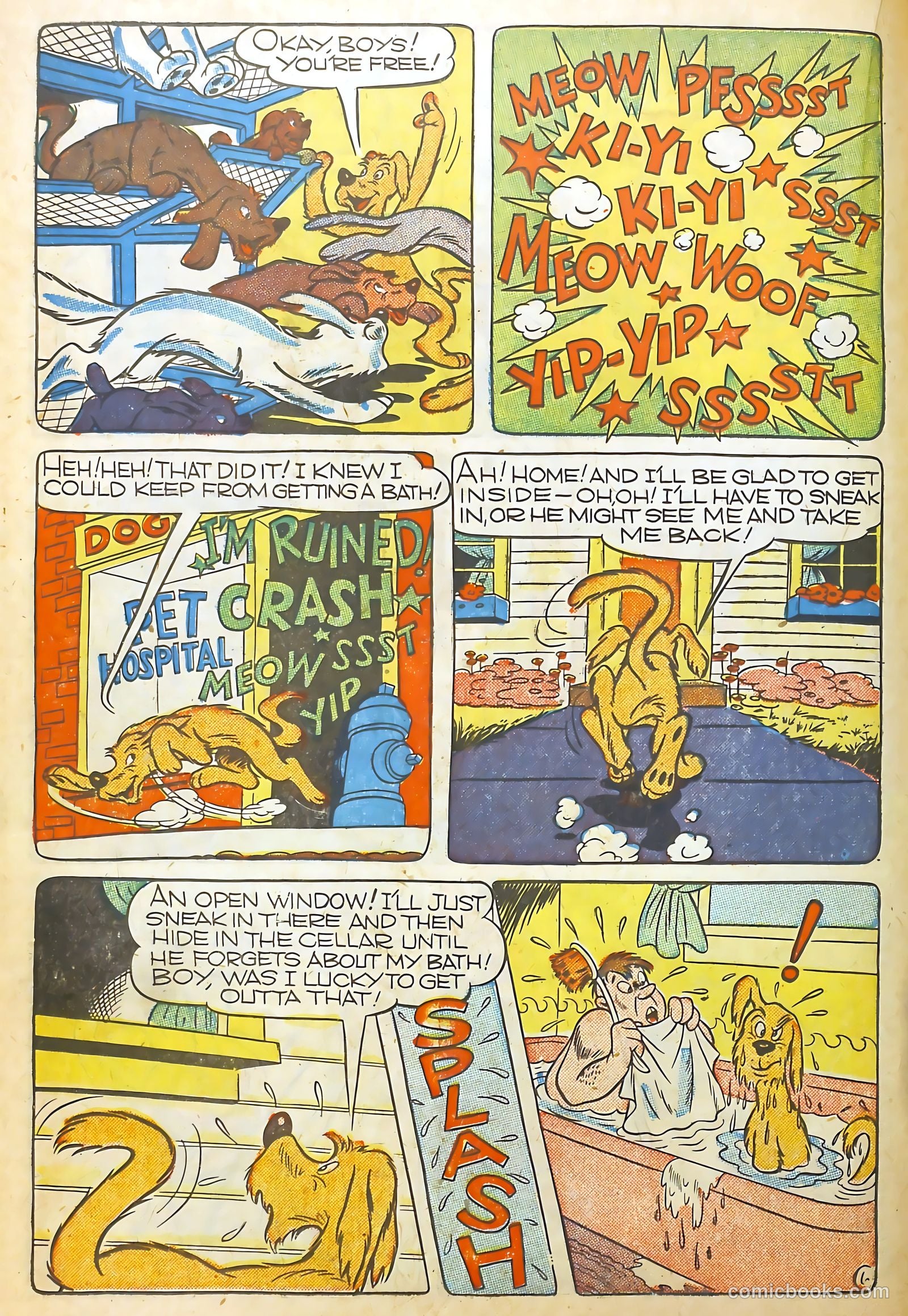 Coo Coo Comics #30 (1946) — page 22 of 52