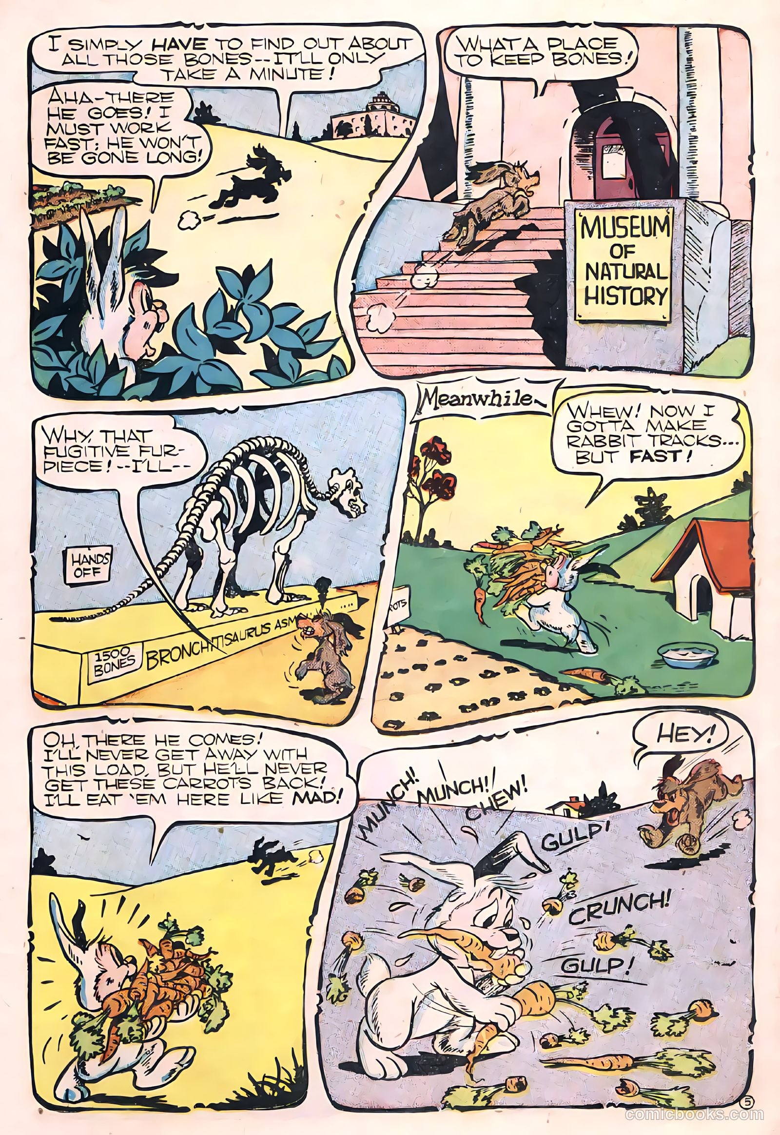 Coo Coo Comics #34 (1947) — page 31 of 52