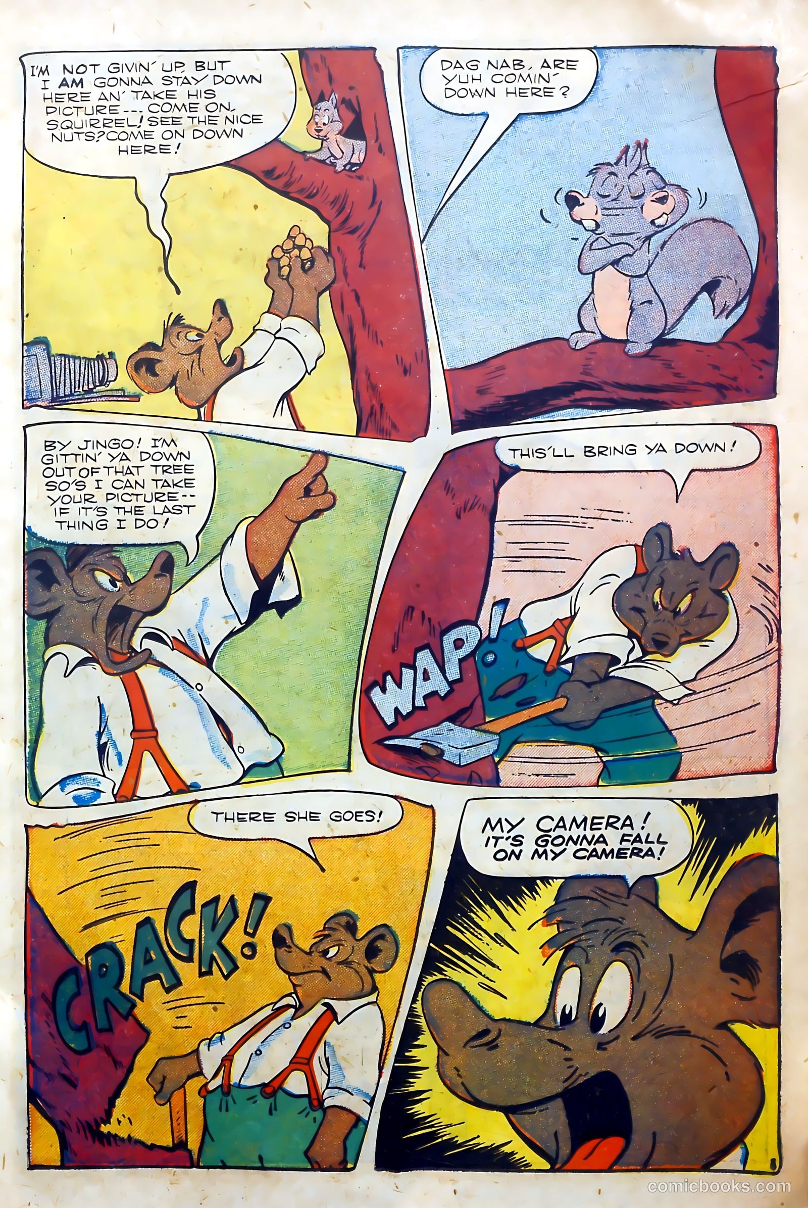 Coo Coo Comics #36 (1947) — page 17 of 52