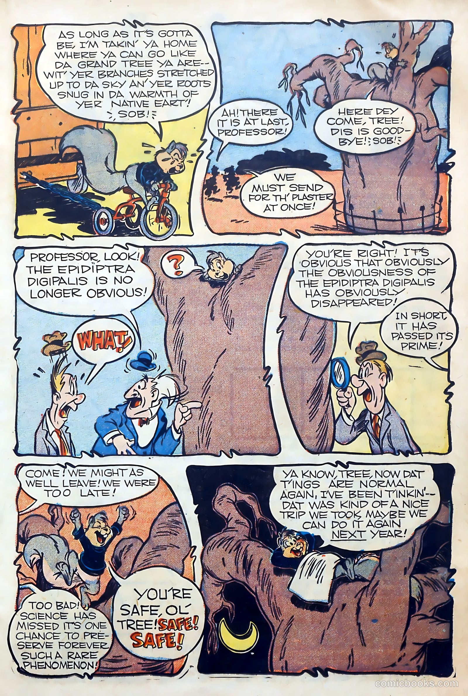 Coo Coo Comics #36 (1947) — page 25 of 52