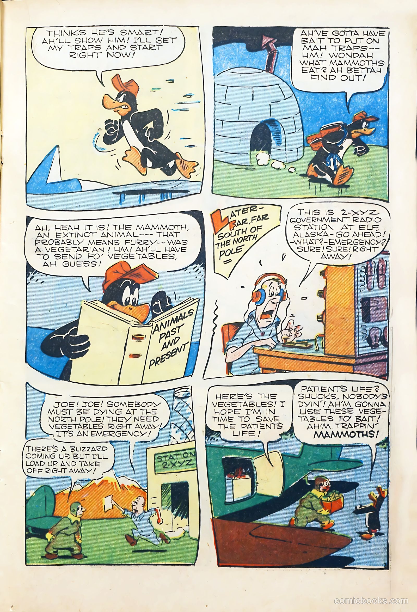 Coo Coo Comics #43 (1949) — page 24 of 55