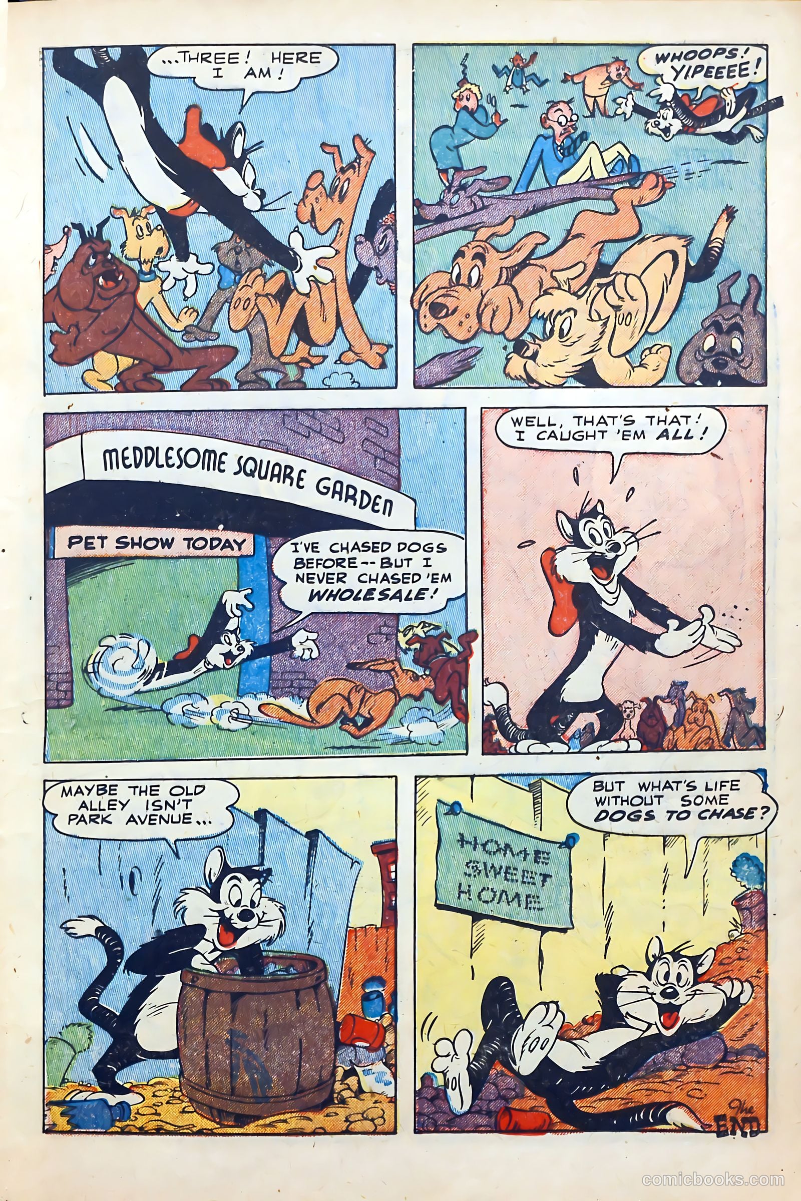 Coo Coo Comics #45 (1949) — page 25 of 52