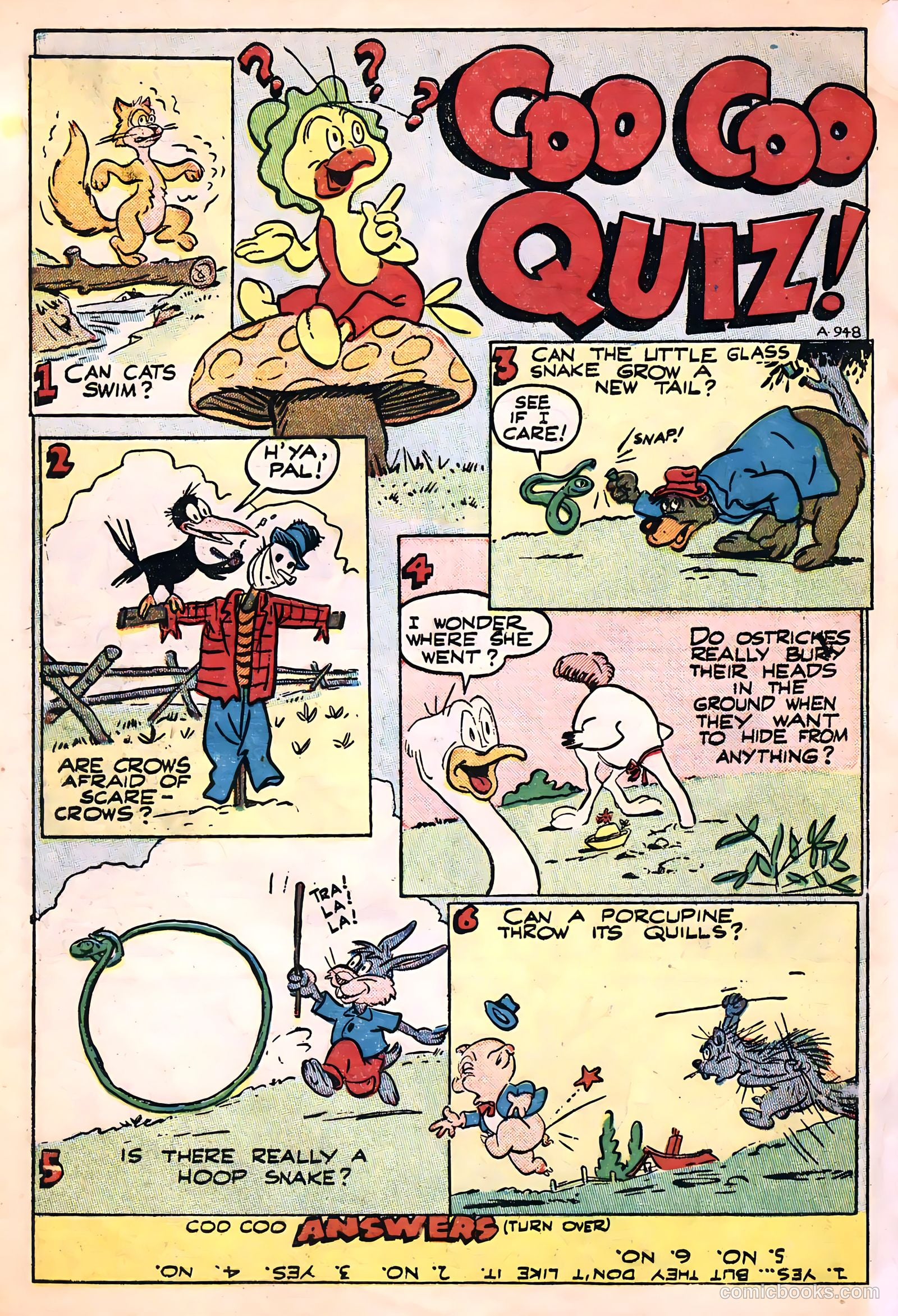 Coo Coo Comics #52 (1950) — page 34 of 36