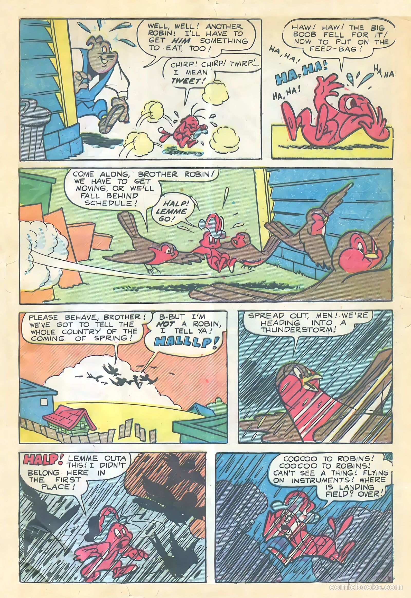 Coo Coo, the Bird Brain #57 (1951) — page 5 of 36
