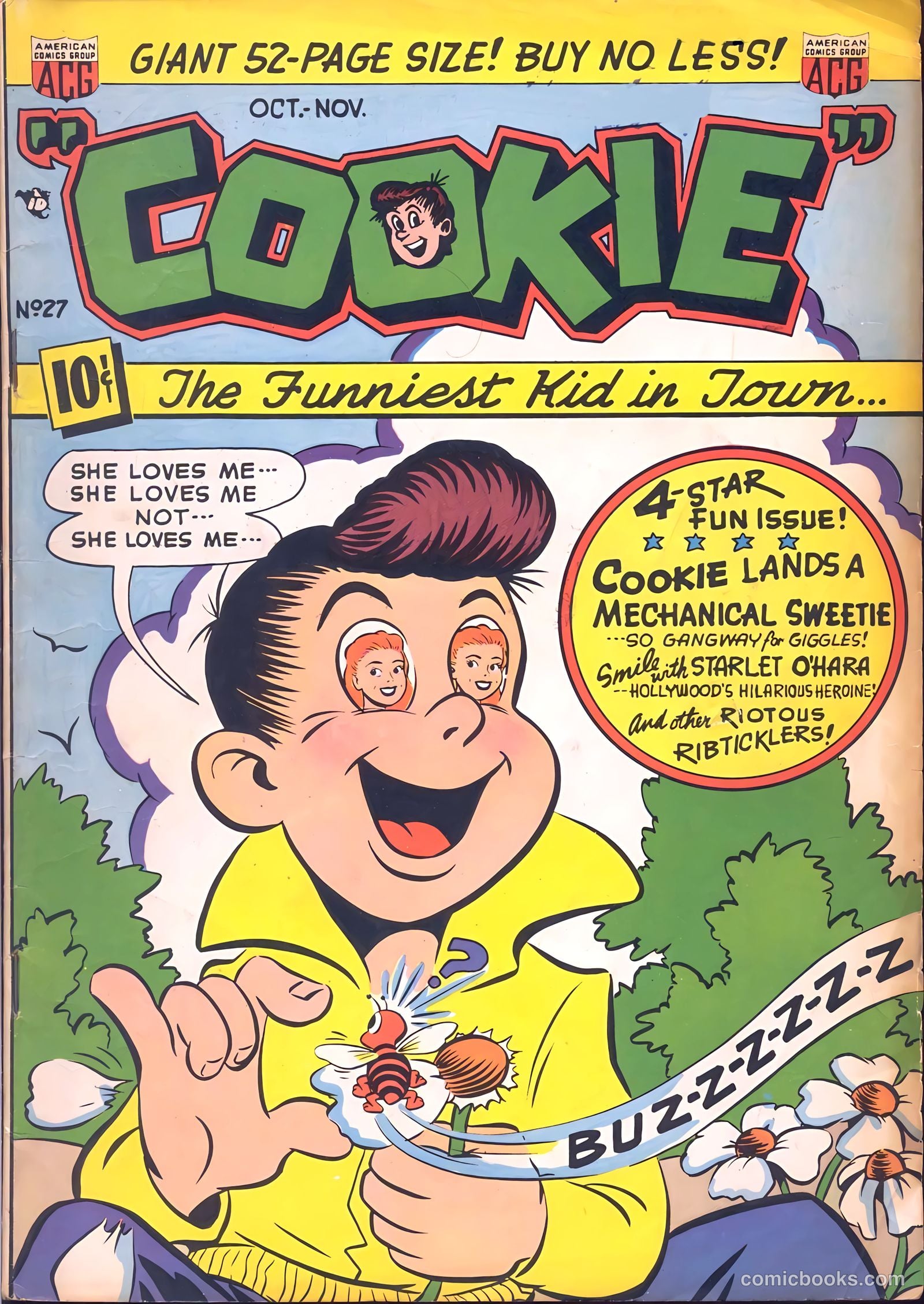 Cookie #27