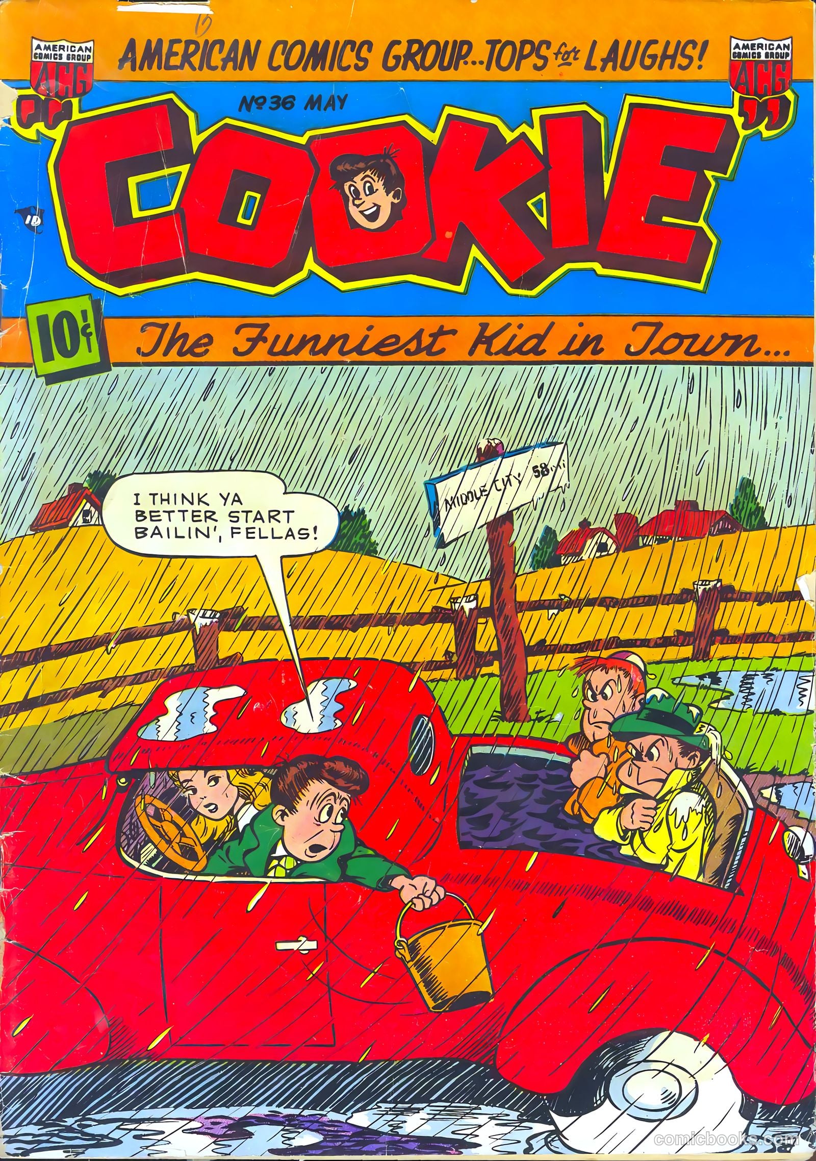 Cookie #36
