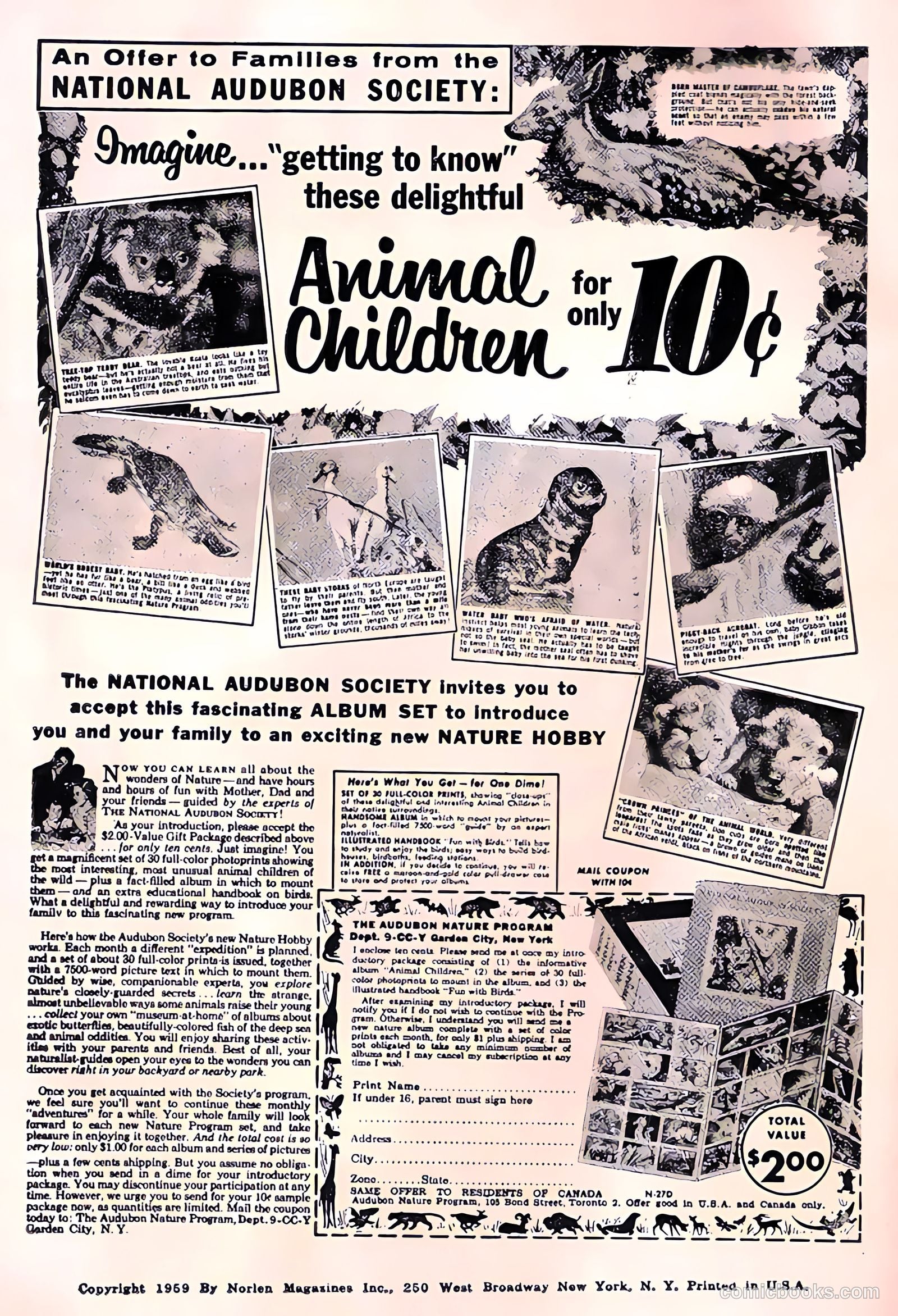 Cosmo Cat #2 (1959) — page 2 of 36
